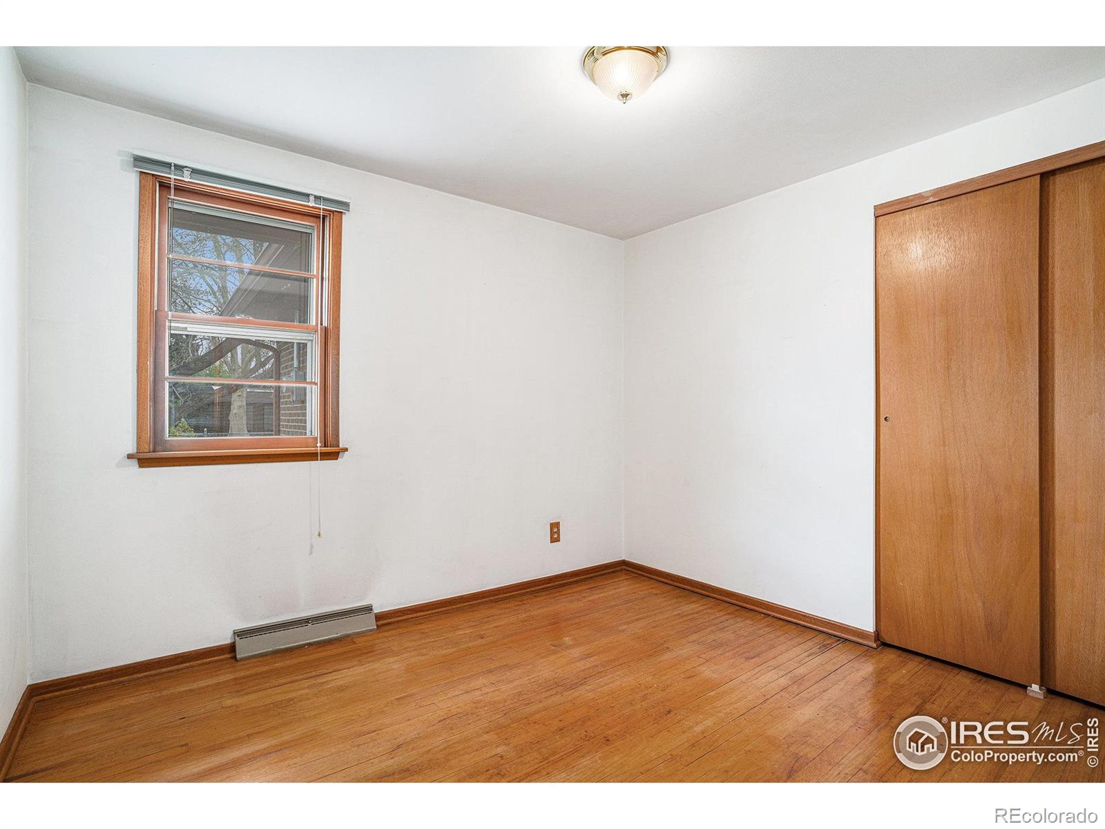 MLS Image #14 for 1153  lincoln street,longmont, Colorado