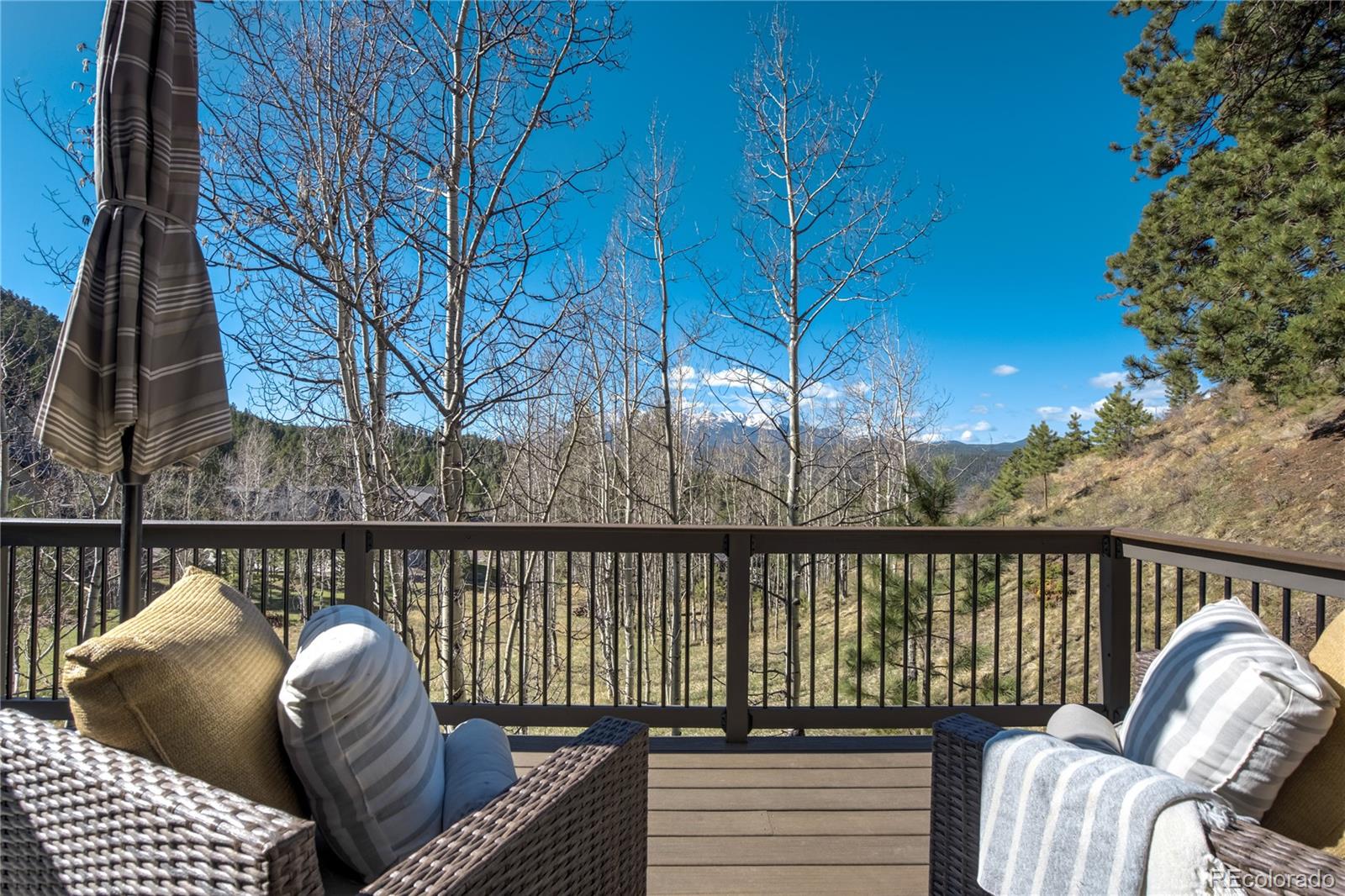 MLS Image #16 for 1040  locklin way,woodland park, Colorado