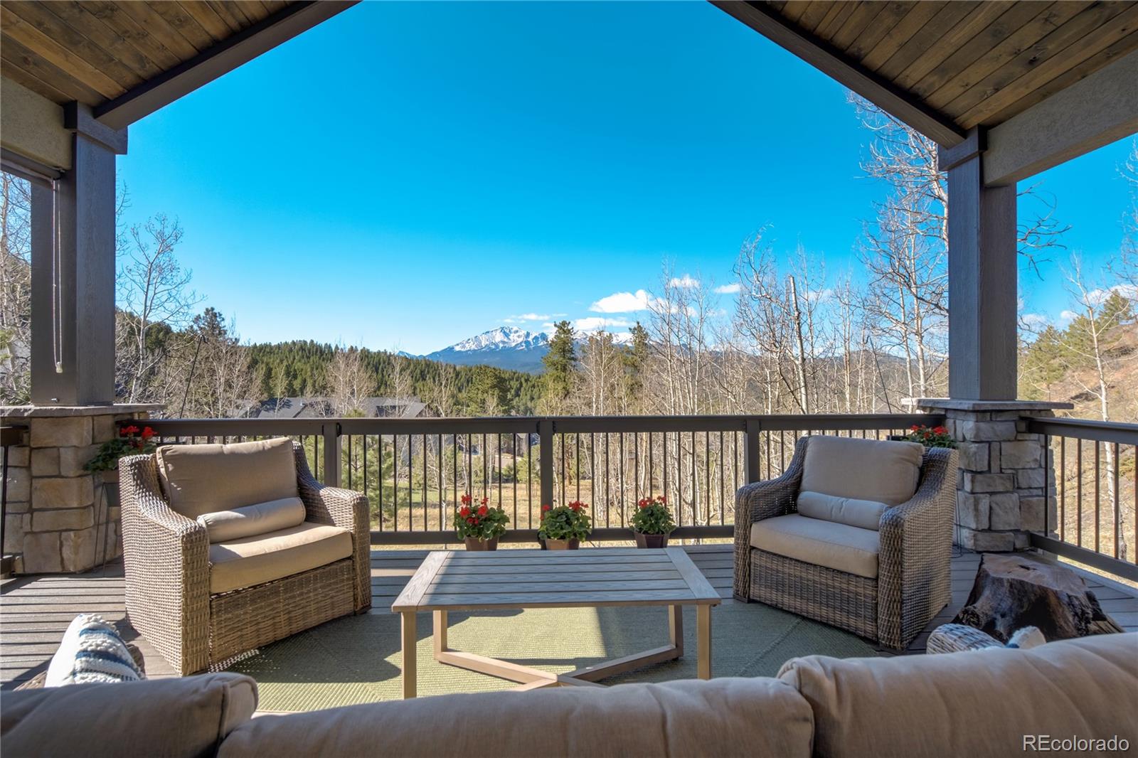 MLS Image #17 for 1040  locklin way,woodland park, Colorado