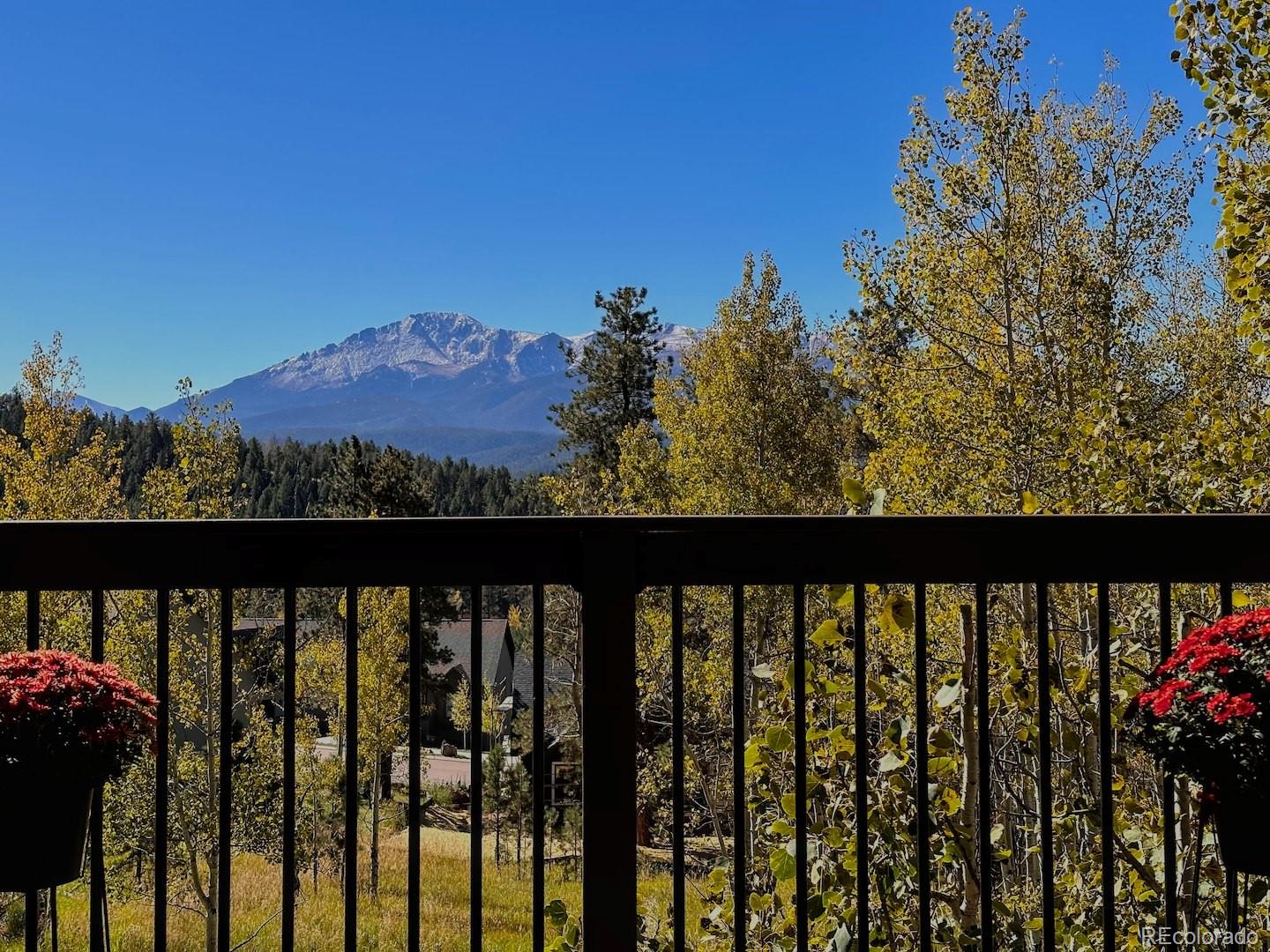 MLS Image #49 for 1040  locklin way,woodland park, Colorado