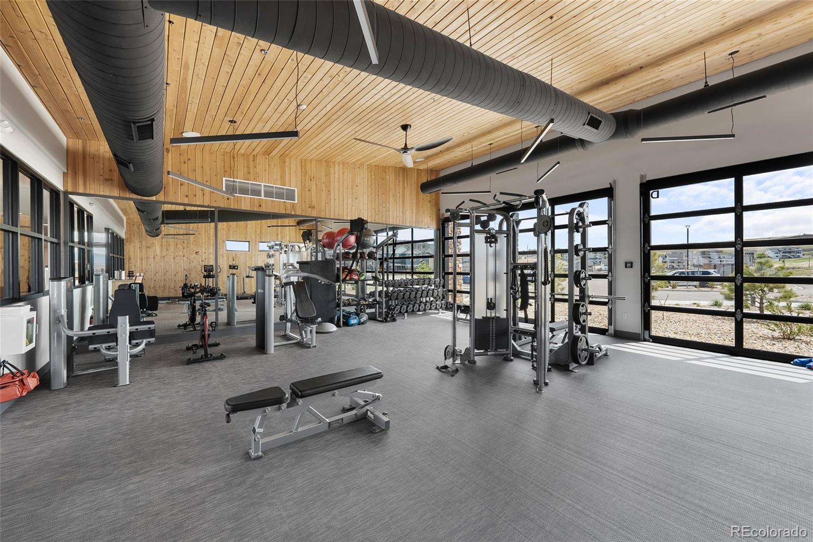MLS Image #32 for 199  simmental loop,castle rock, Colorado