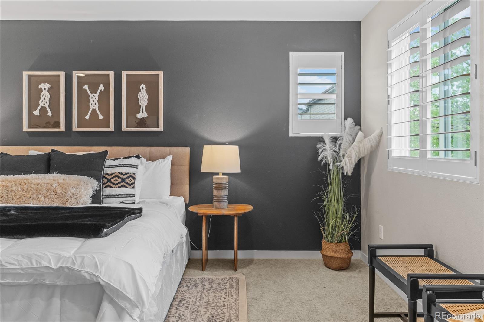MLS Image #27 for 3384  cranston circle,highlands ranch, Colorado