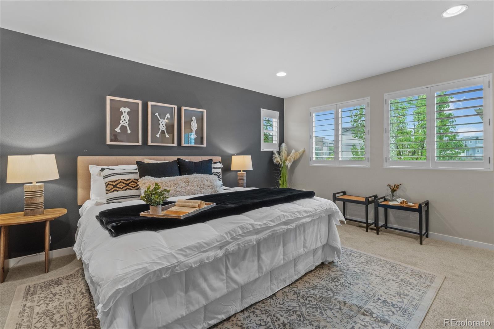 MLS Image #29 for 3384  cranston circle,highlands ranch, Colorado