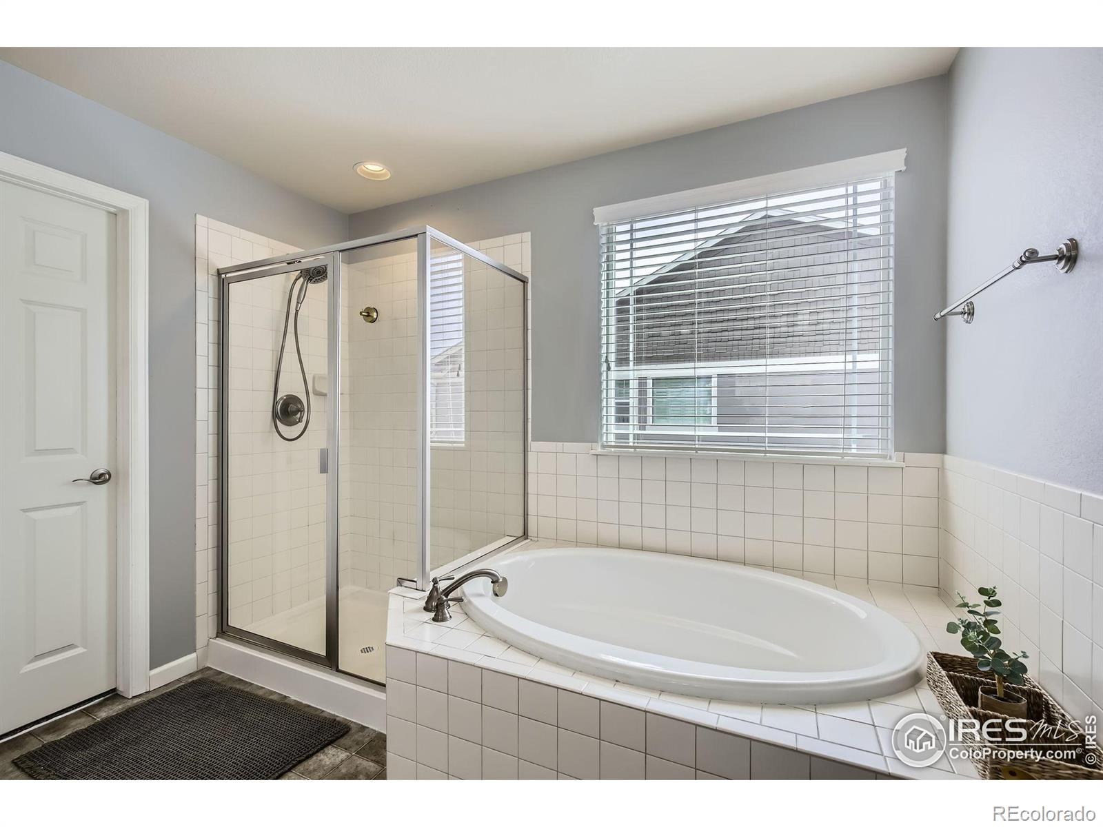 MLS Image #17 for 5920  jasper street,timnath, Colorado