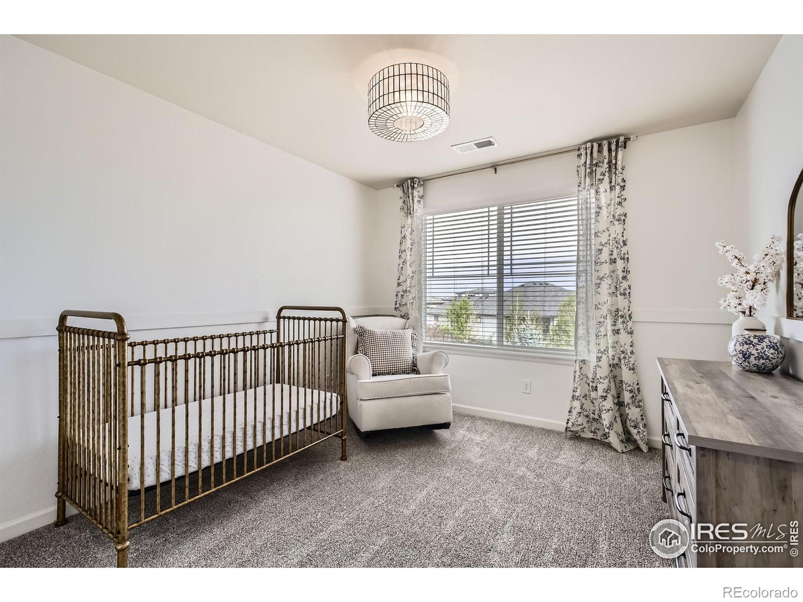 MLS Image #20 for 5920  jasper street,timnath, Colorado