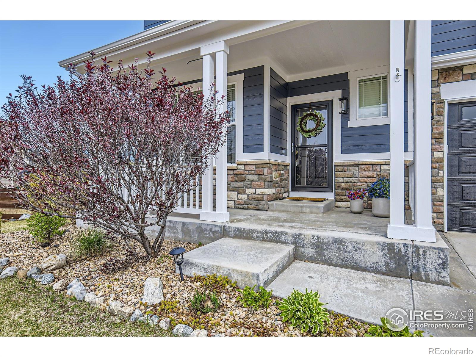 MLS Image #3 for 5920  jasper street,timnath, Colorado