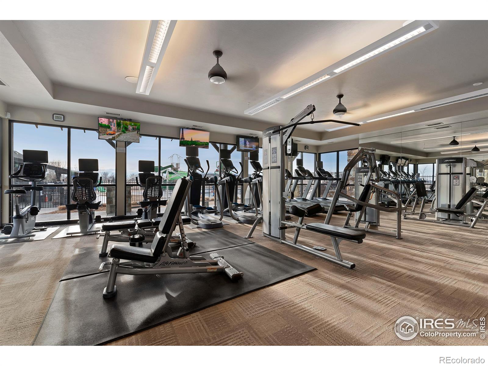 MLS Image #31 for 5920  jasper street,timnath, Colorado
