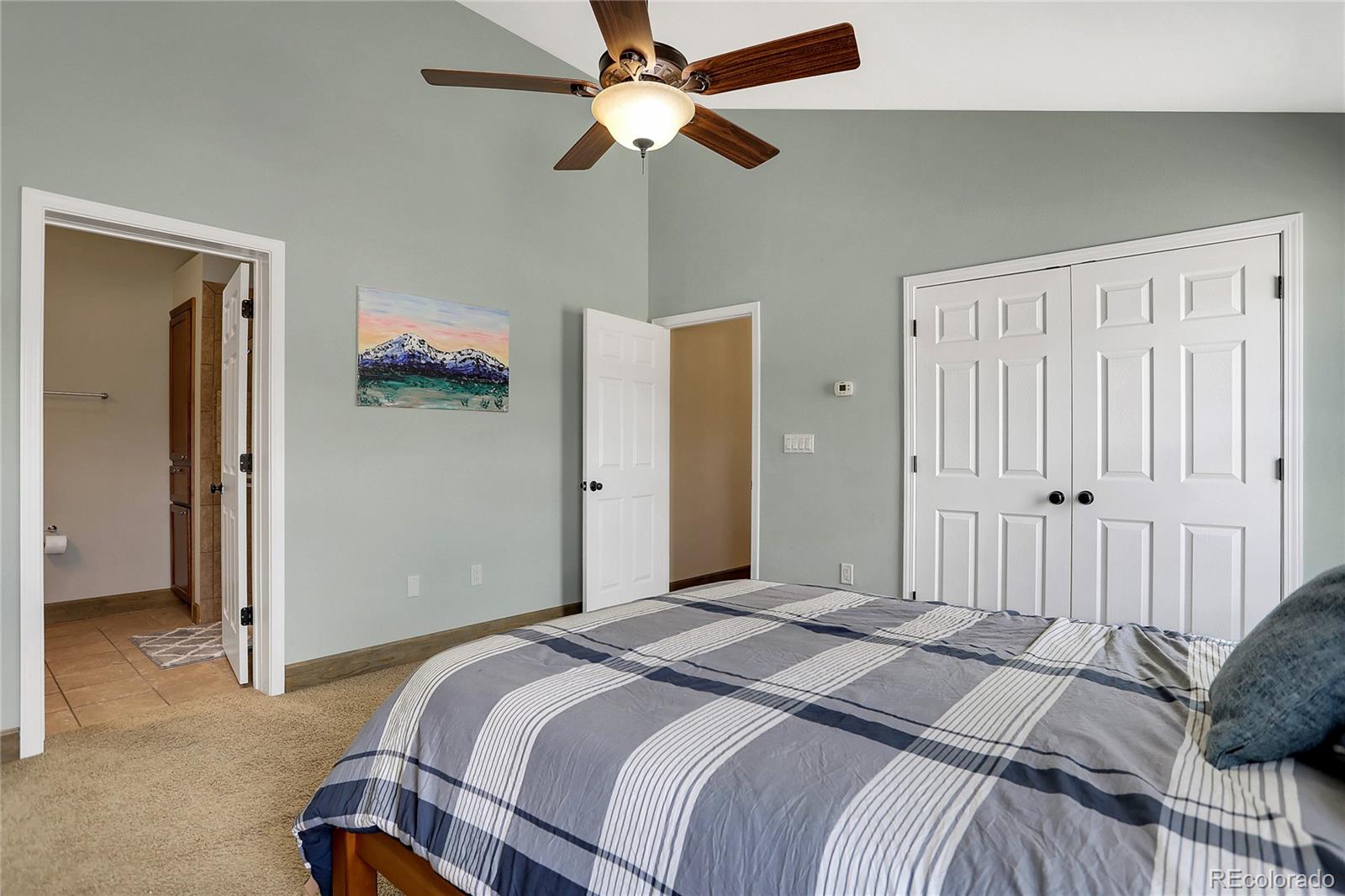 MLS Image #17 for 104  red tail boulevard,buena vista, Colorado
