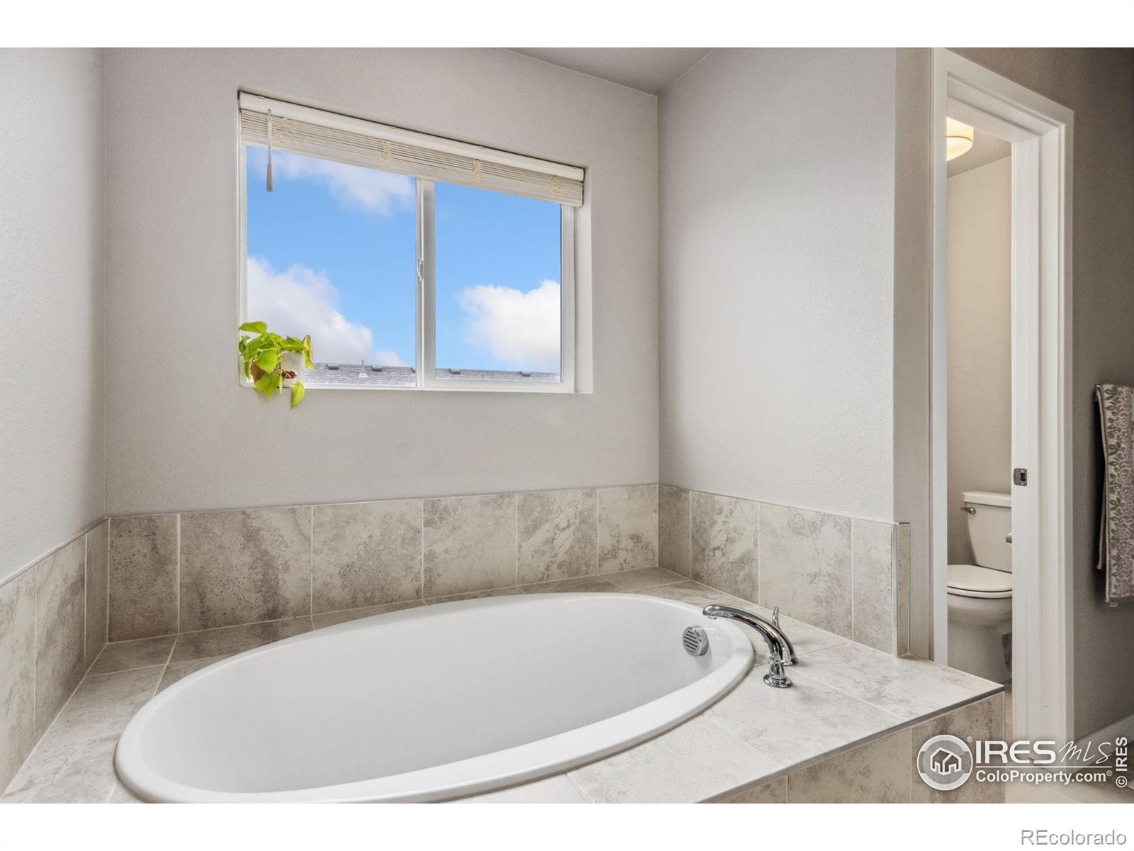 MLS Image #18 for 5586  vona drive,loveland, Colorado
