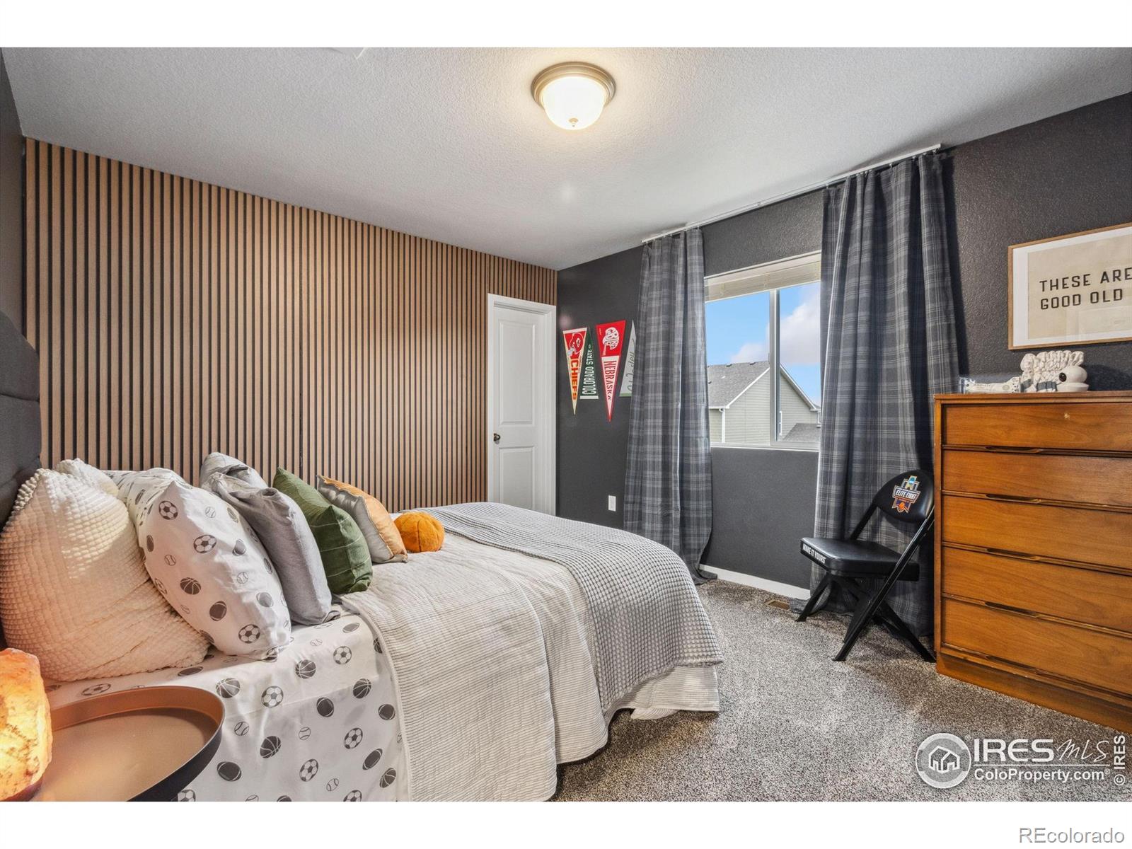 MLS Image #19 for 5586  vona drive,loveland, Colorado