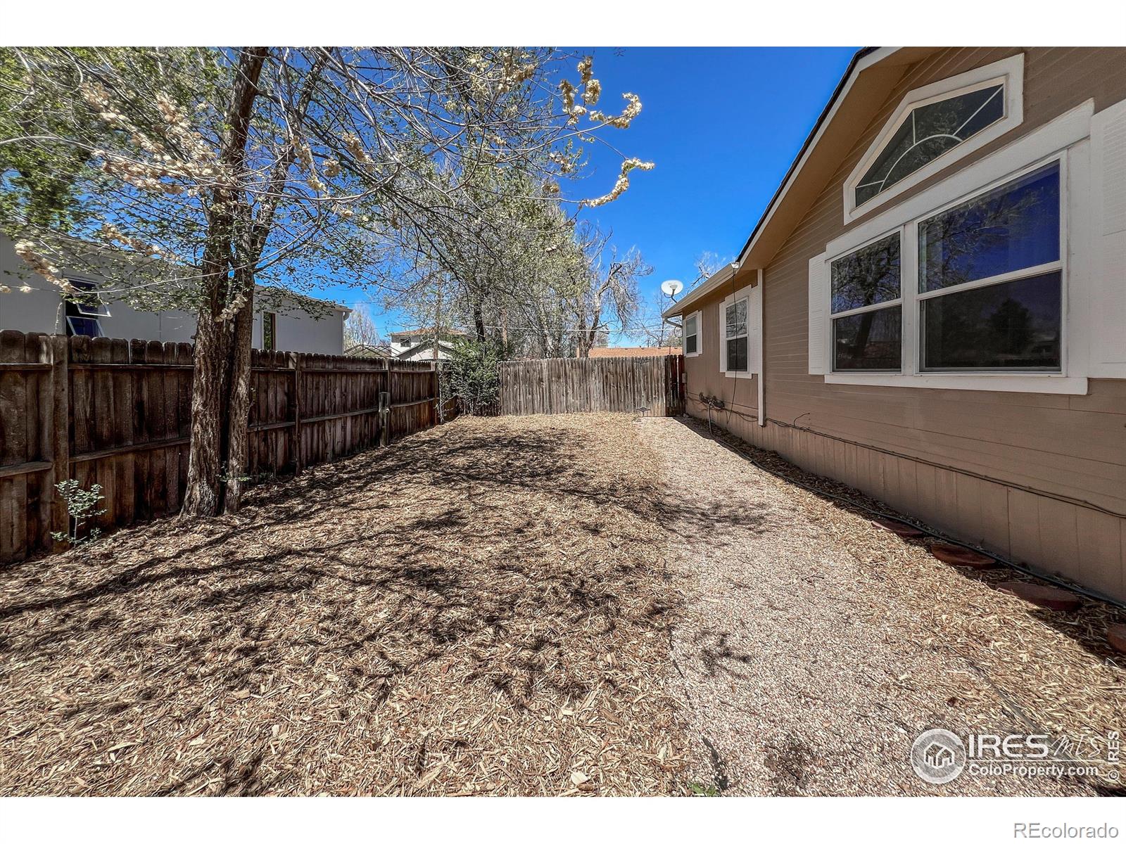 MLS Image #29 for 3916  hayes avenue,wellington, Colorado
