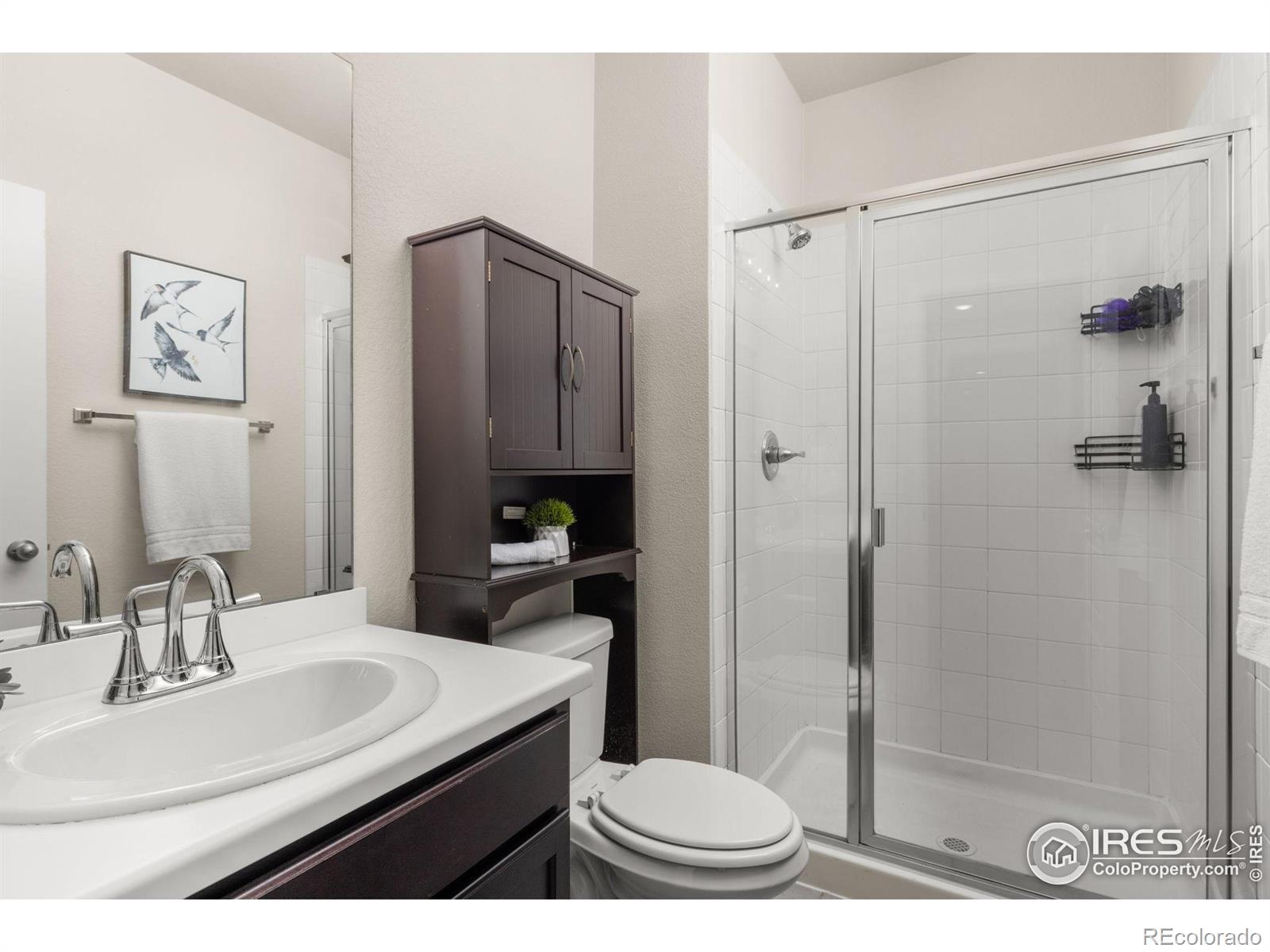 MLS Image #28 for 5845  shadow creek court,windsor, Colorado