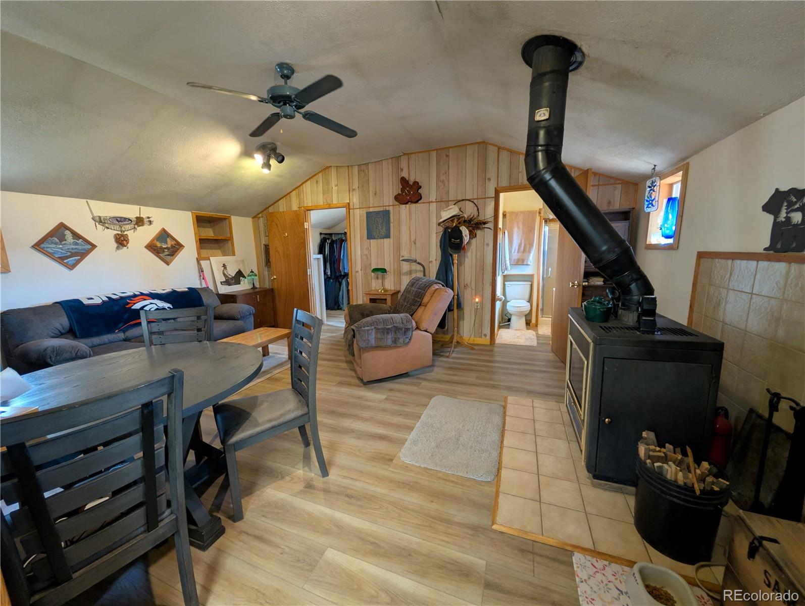 MLS Image #15 for 2117  badger creek road,hartsel, Colorado