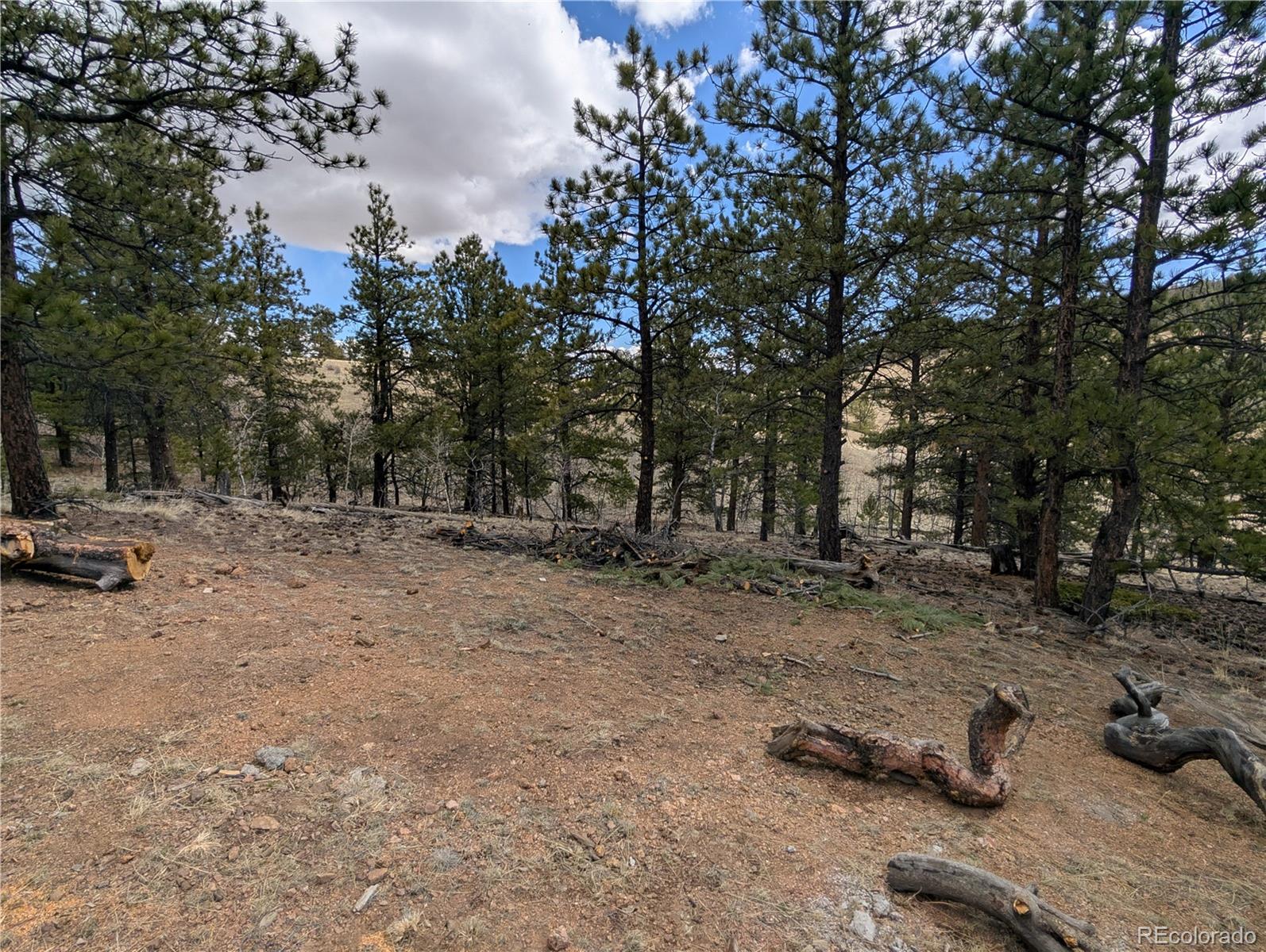 MLS Image #25 for 2117  badger creek road,hartsel, Colorado