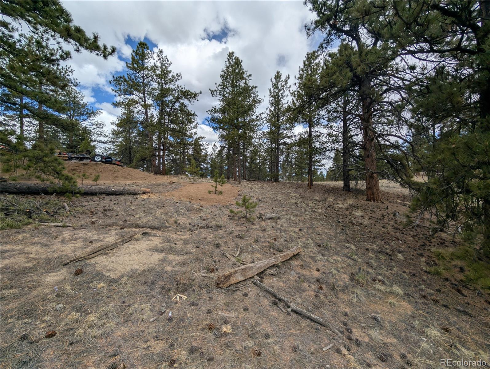 MLS Image #27 for 2117  badger creek road,hartsel, Colorado
