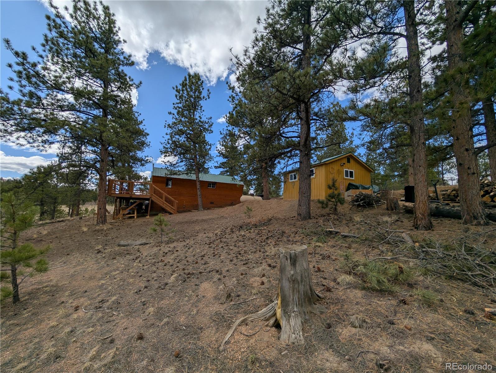 MLS Image #28 for 2117  badger creek road,hartsel, Colorado