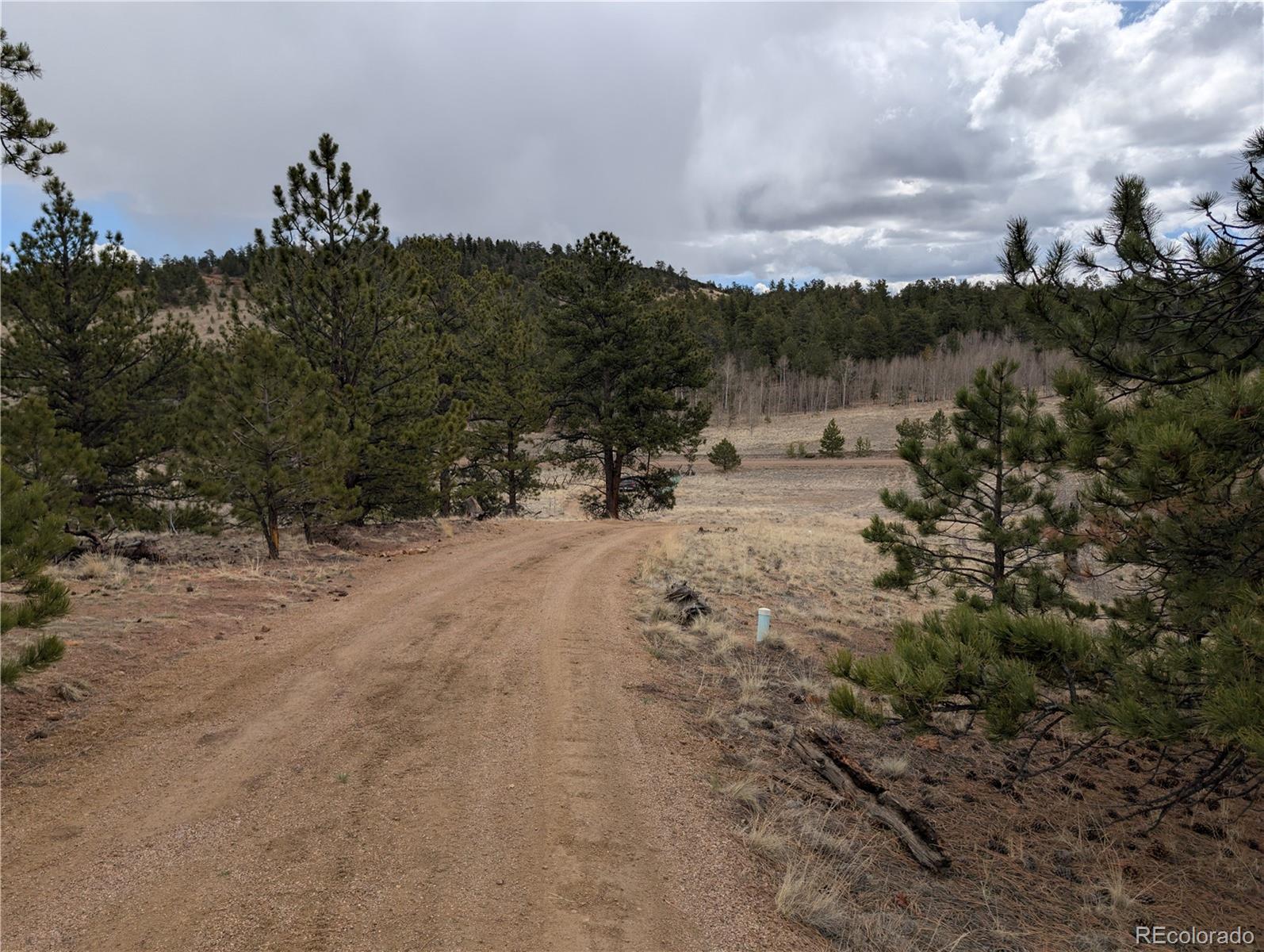 MLS Image #39 for 2117  badger creek road,hartsel, Colorado