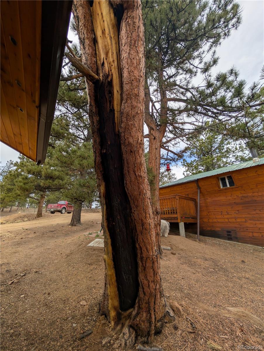 MLS Image #44 for 2117  badger creek road,hartsel, Colorado