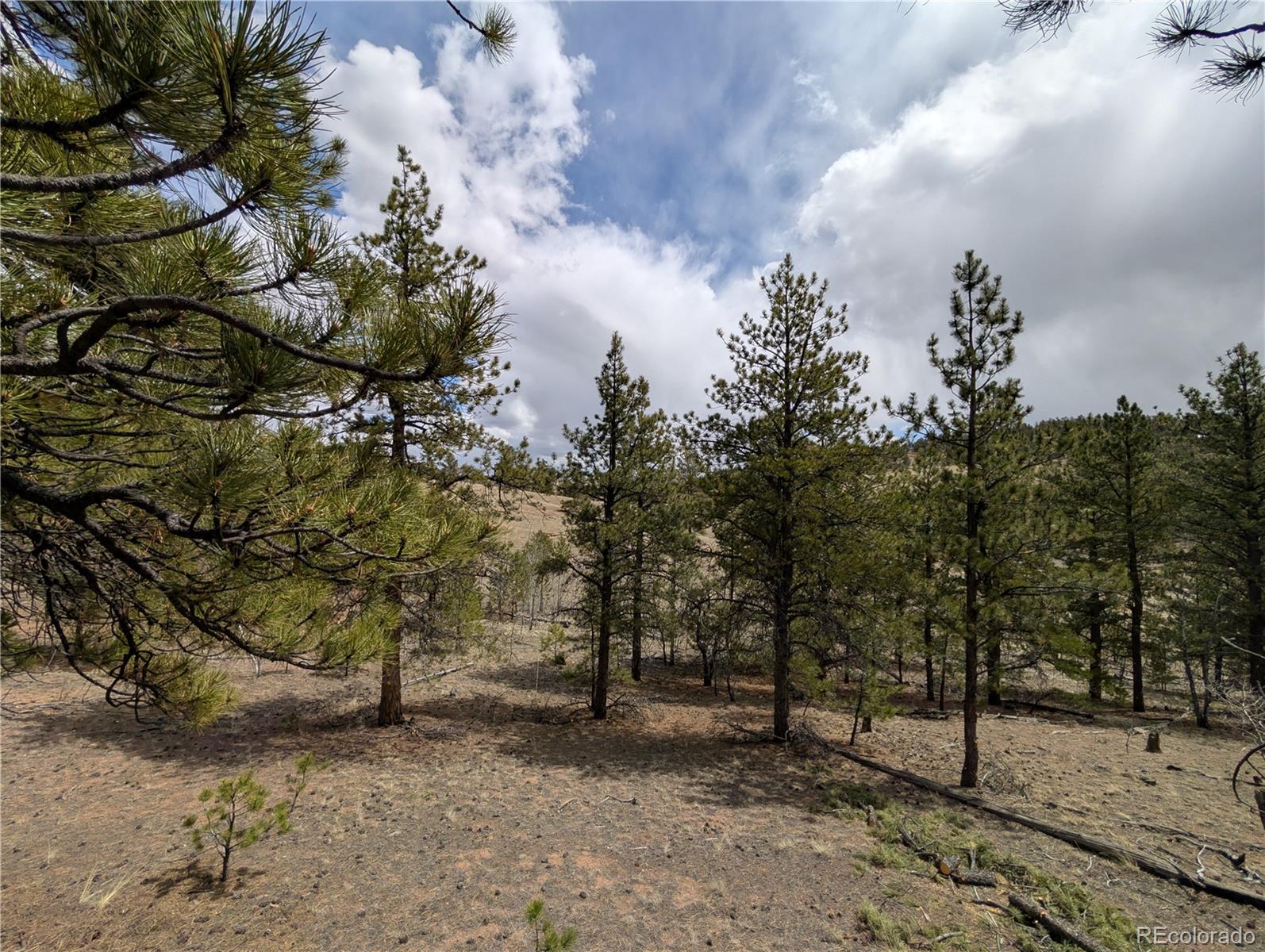 MLS Image #45 for 2117  badger creek road,hartsel, Colorado