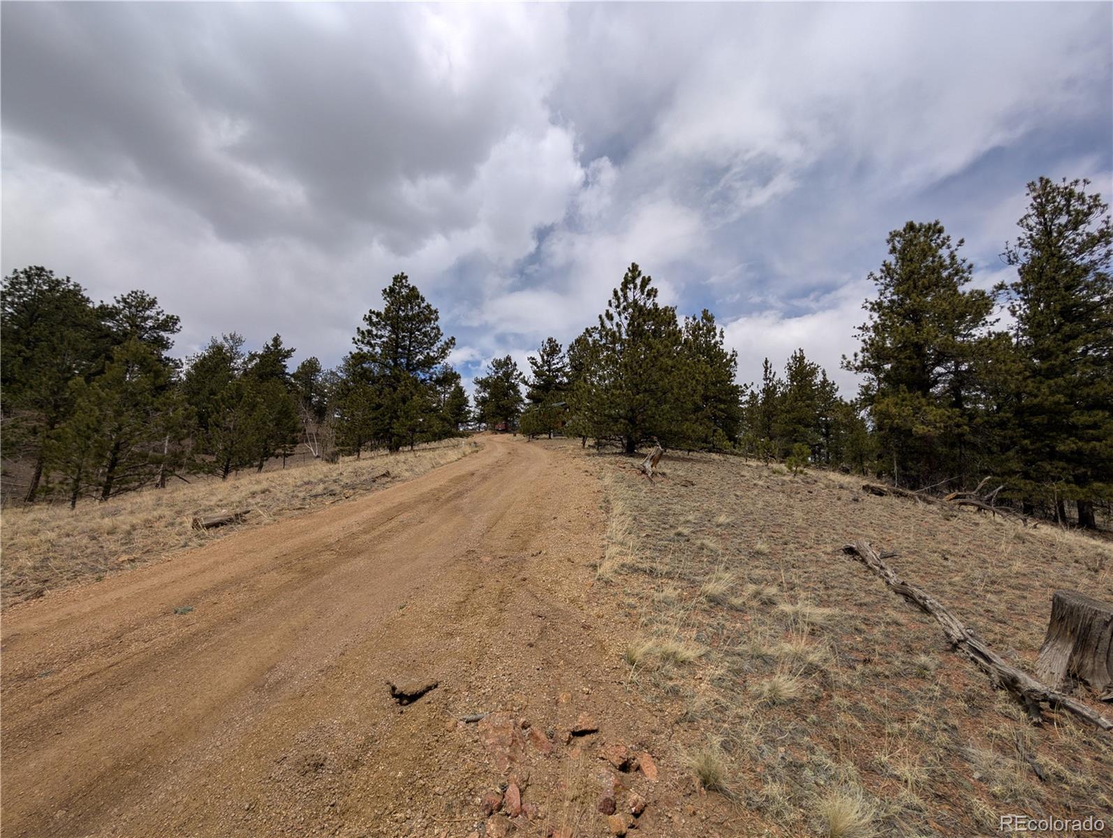 MLS Image #46 for 2117  badger creek road,hartsel, Colorado