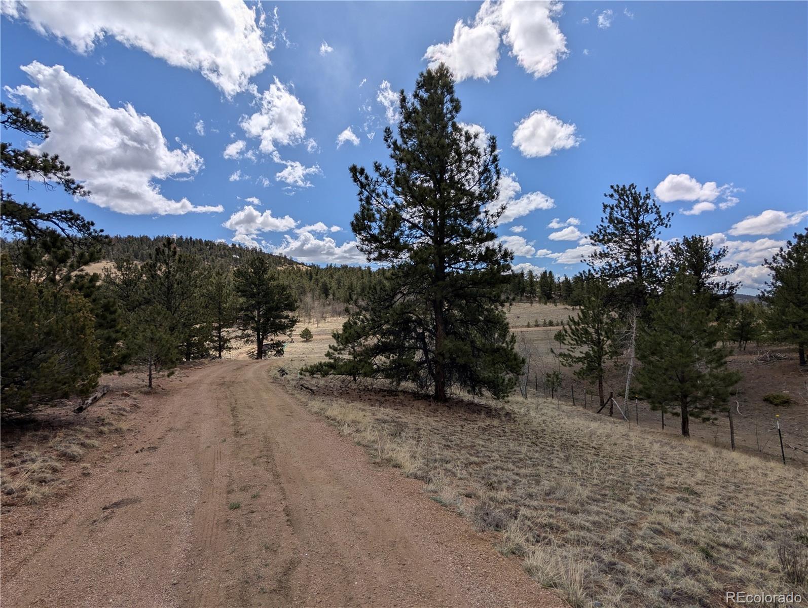 MLS Image #9 for 2117  badger creek road,hartsel, Colorado