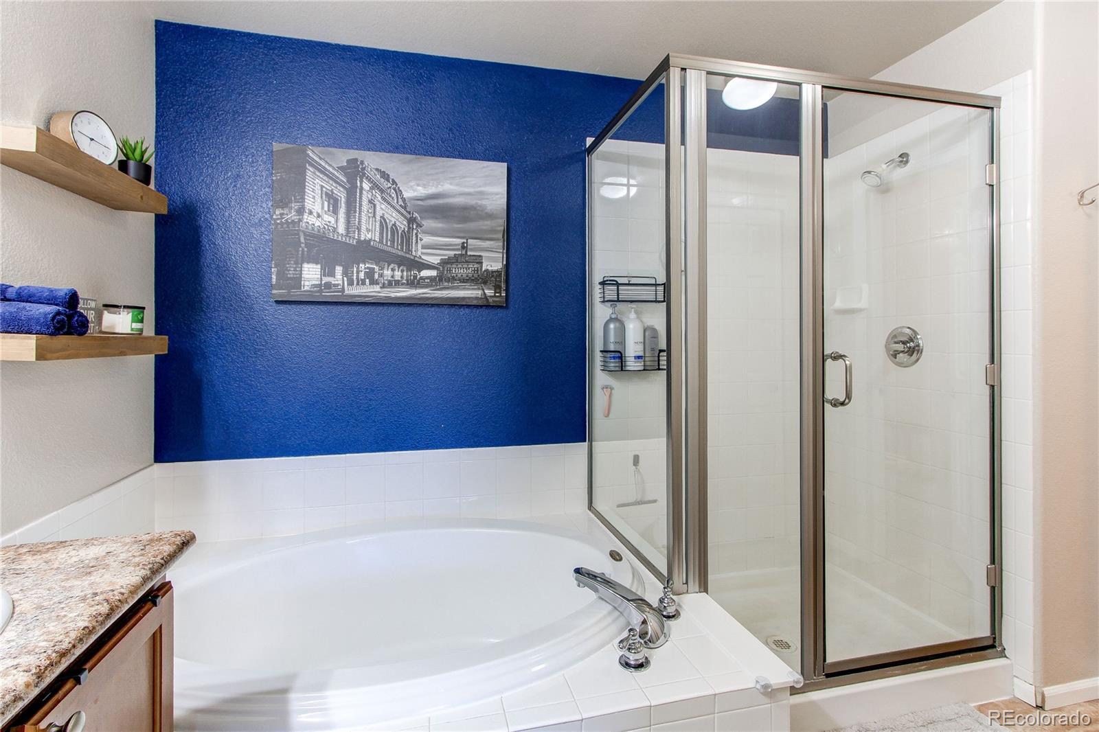 MLS Image #21 for 535  lost valley point,castle rock, Colorado