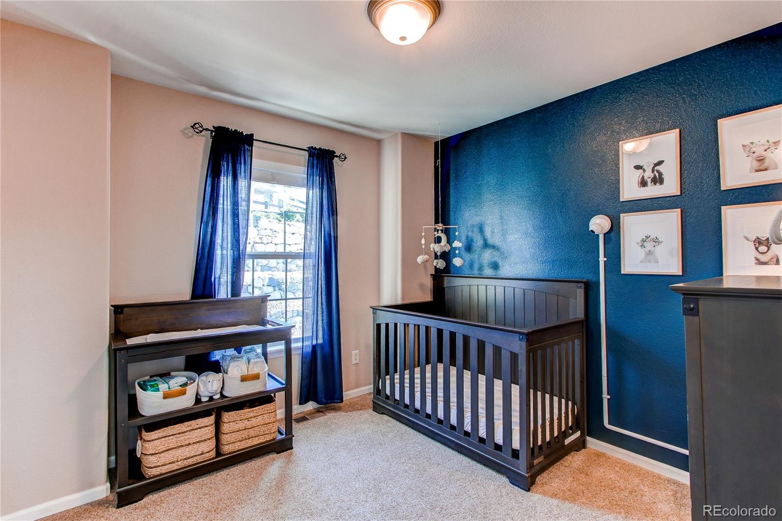 MLS Image #22 for 535  lost valley point,castle rock, Colorado