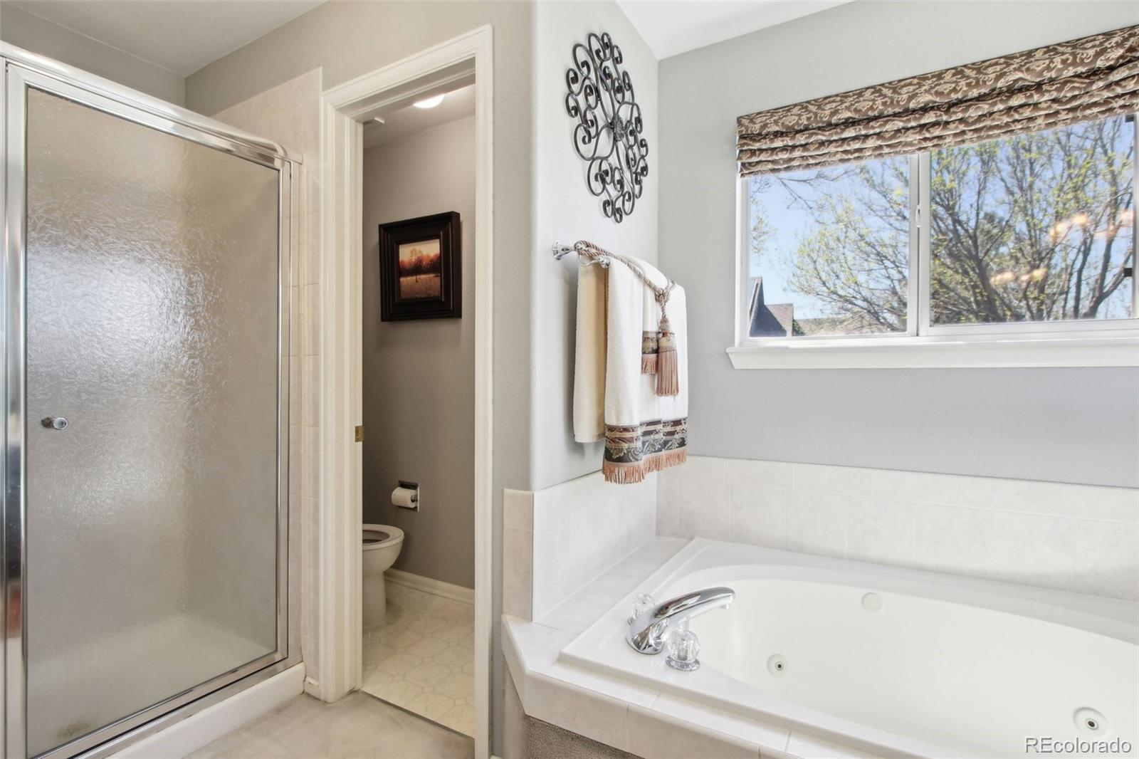 MLS Image #19 for 10889  alcott court,denver, Colorado