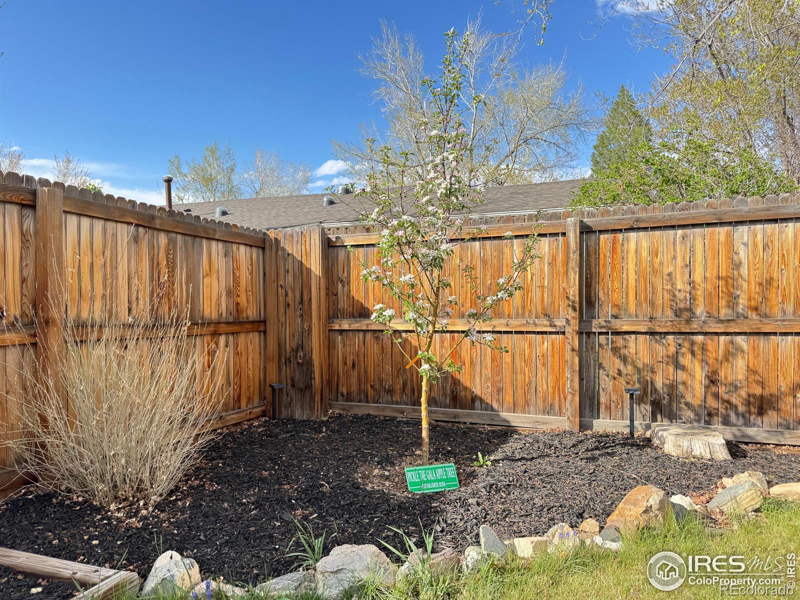 MLS Image #20 for 16807 e napa drive,aurora, Colorado
