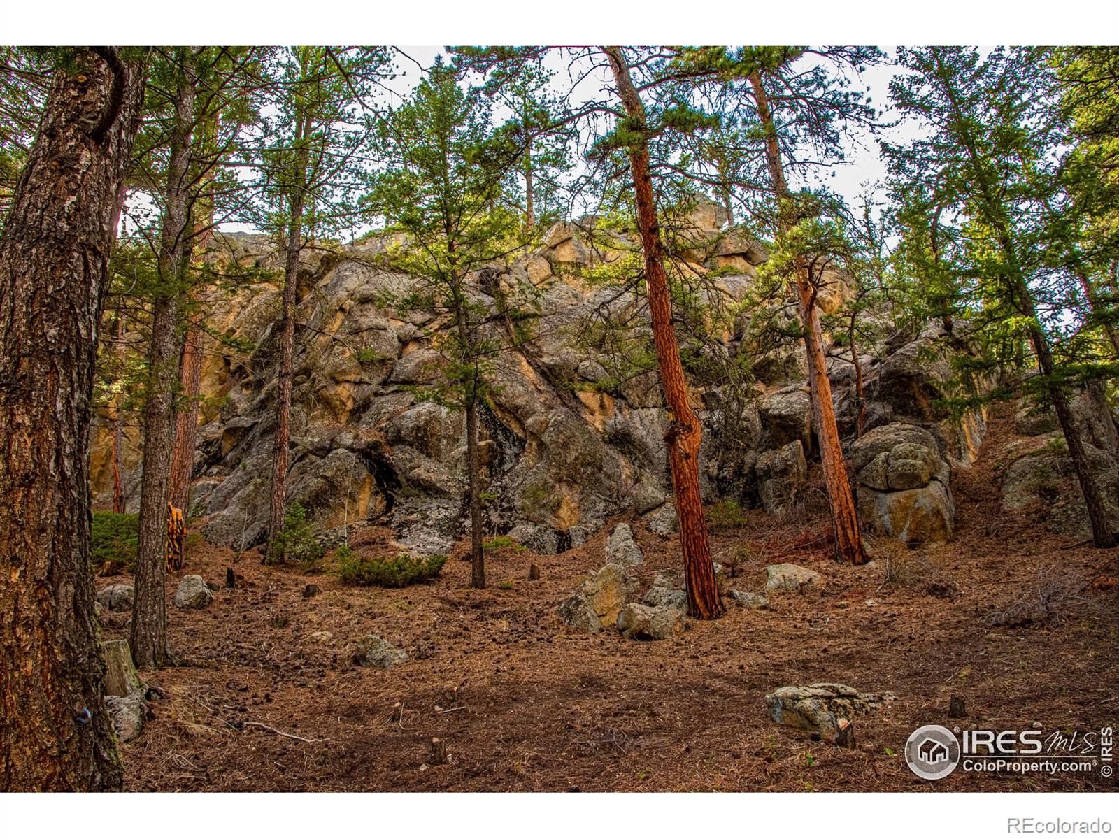 MLS Image #38 for 565  hemlock drive,lyons, Colorado