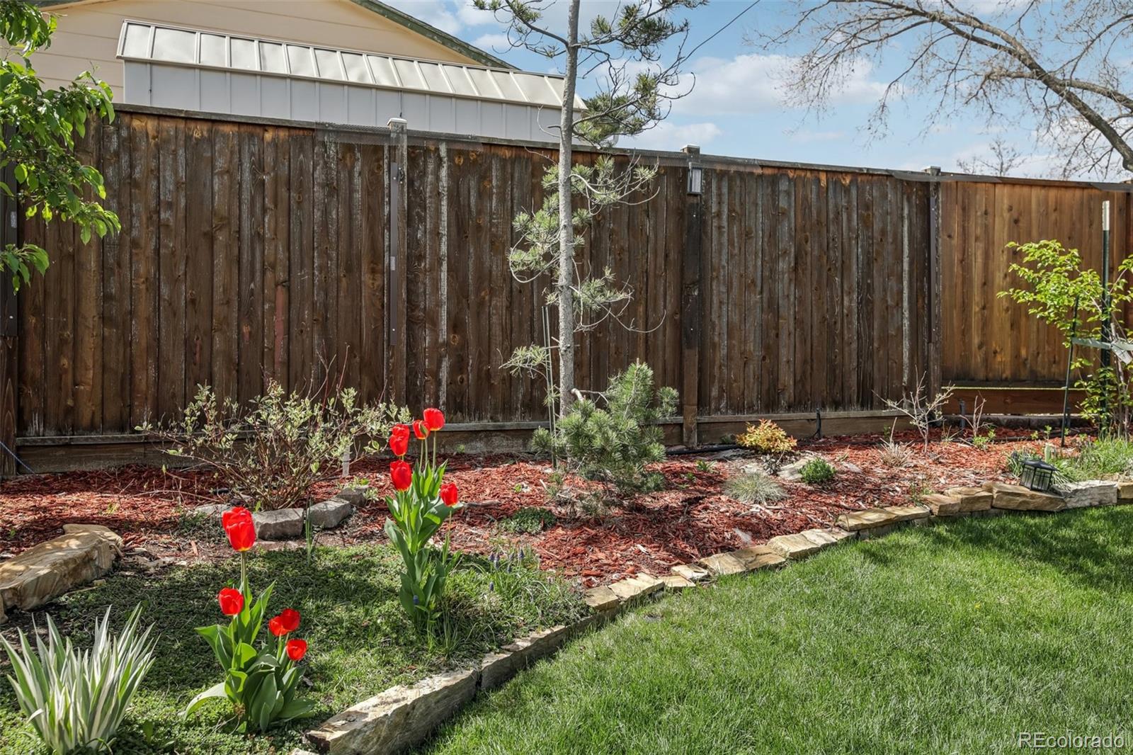 MLS Image #21 for 1164 w 101st place,northglenn, Colorado