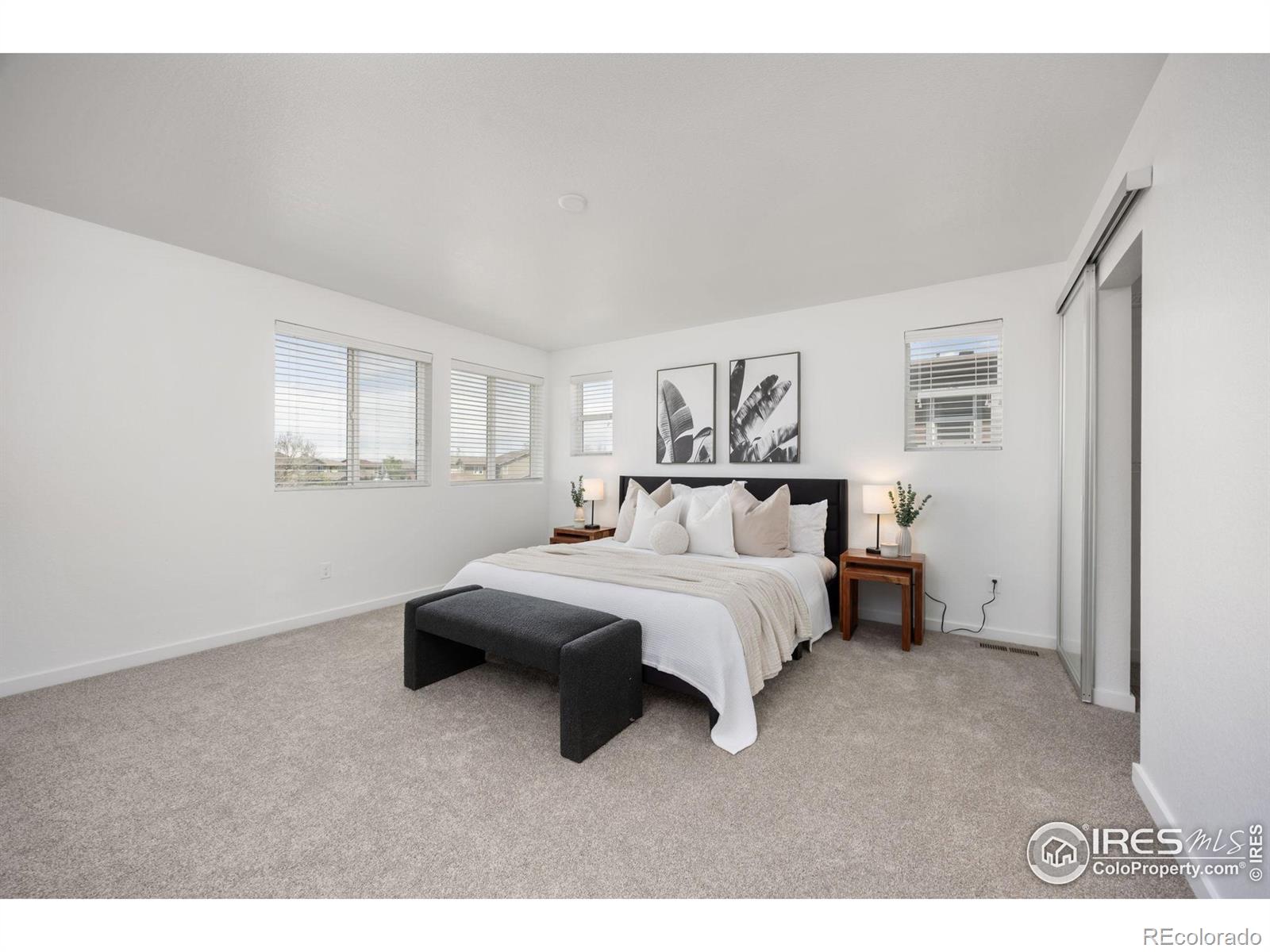 MLS Image #11 for 10022  reunion parkway,commerce city, Colorado