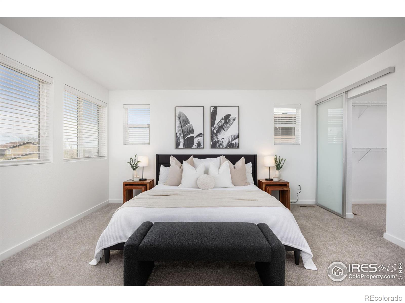 MLS Image #12 for 10022  reunion parkway,commerce city, Colorado