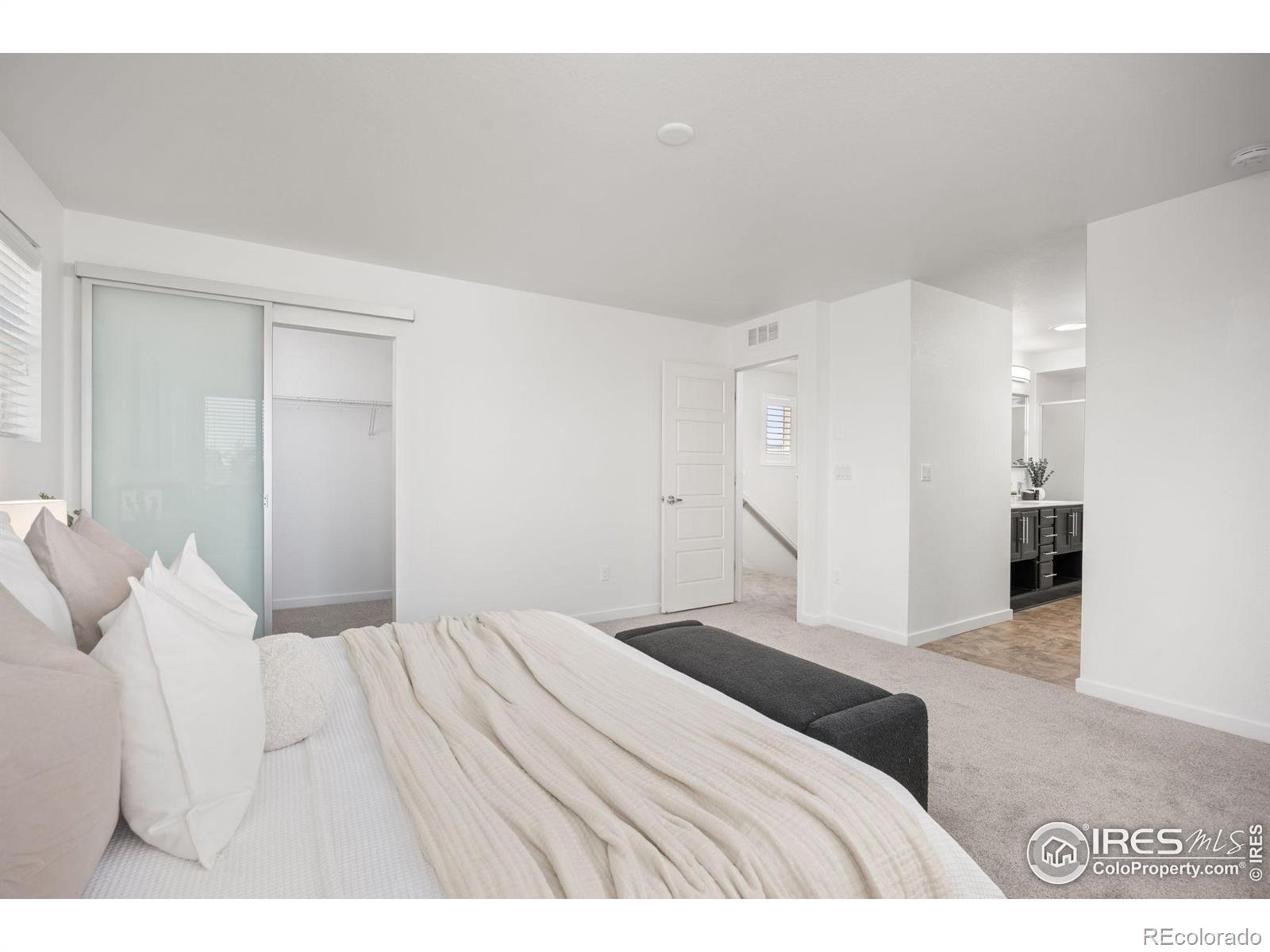 MLS Image #13 for 10022  reunion parkway,commerce city, Colorado