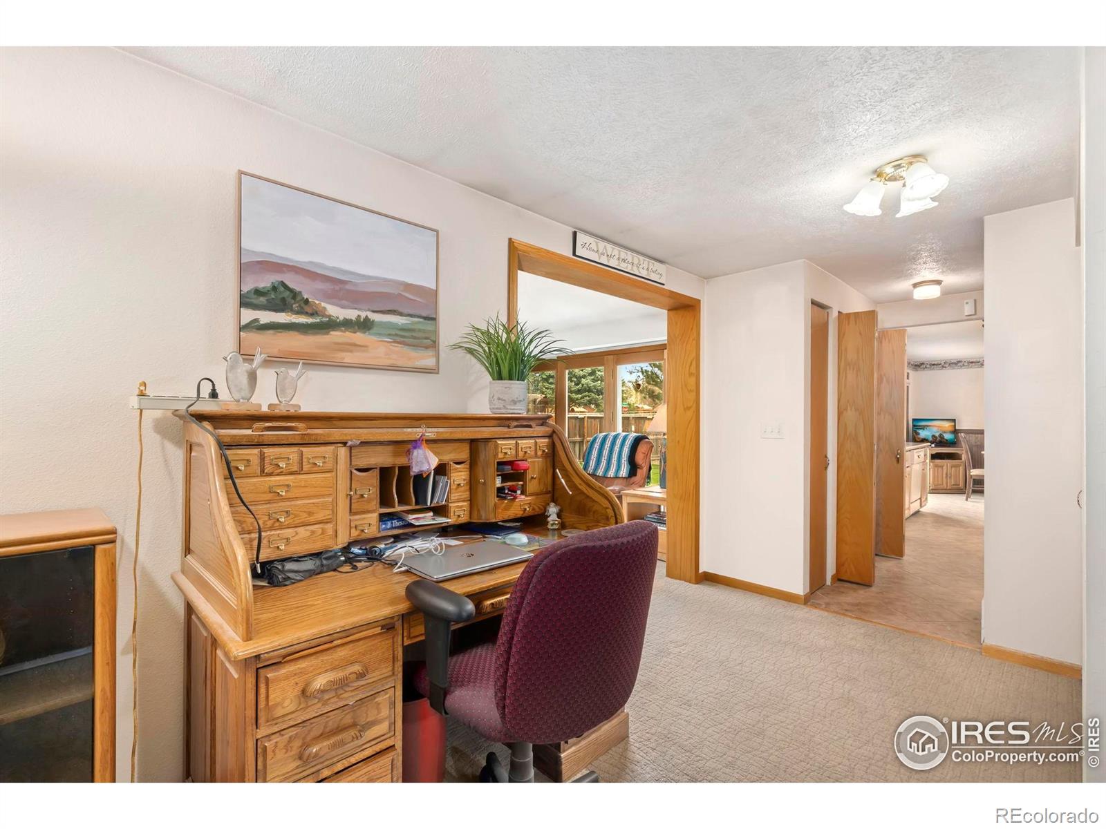 MLS Image #17 for 4856 n franklin avenue,loveland, Colorado