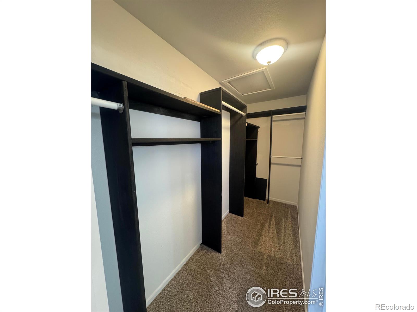 MLS Image #19 for 1429  fairfield avenue,windsor, Colorado
