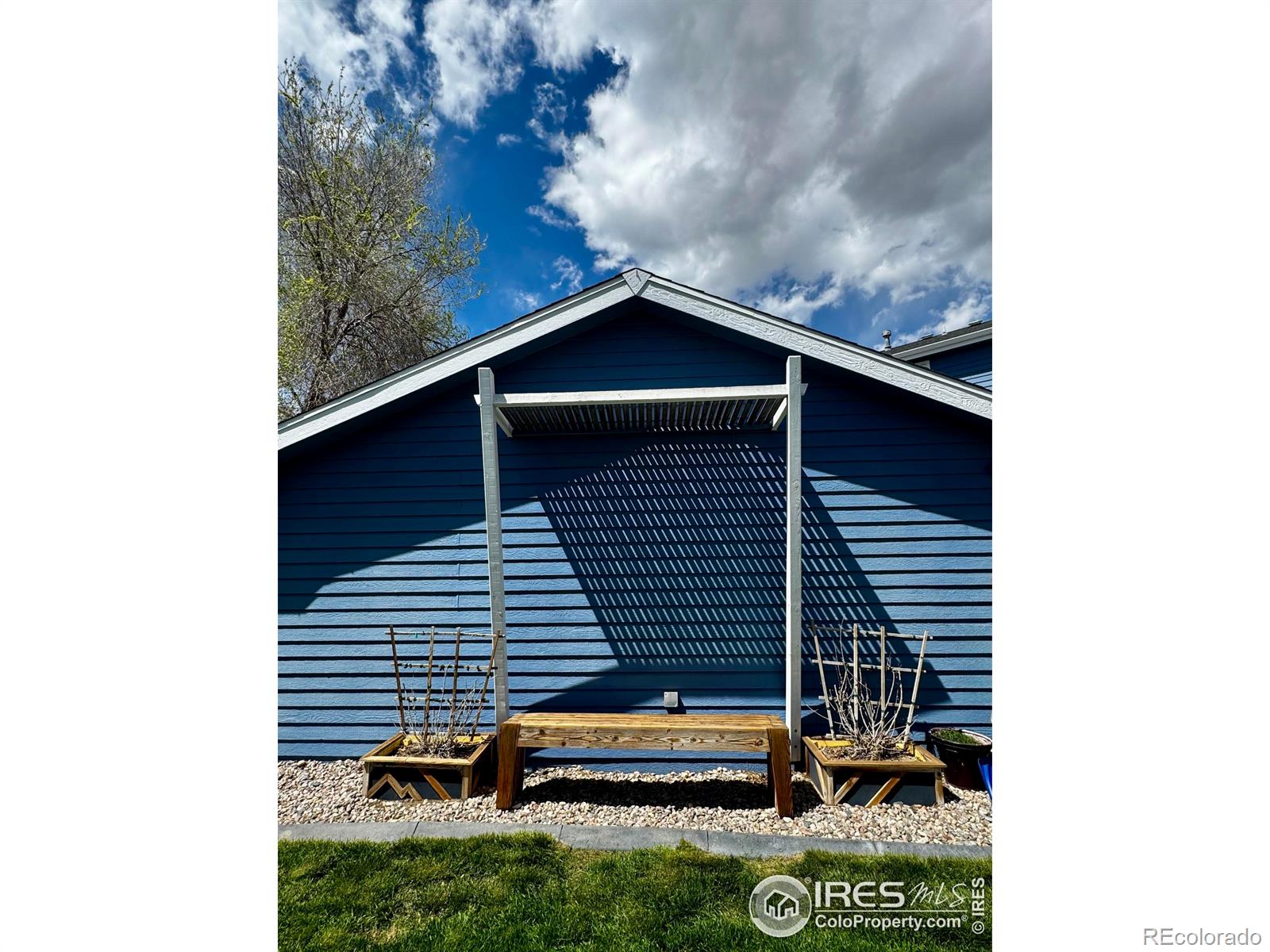MLS Image #5 for 1429  fairfield avenue,windsor, Colorado