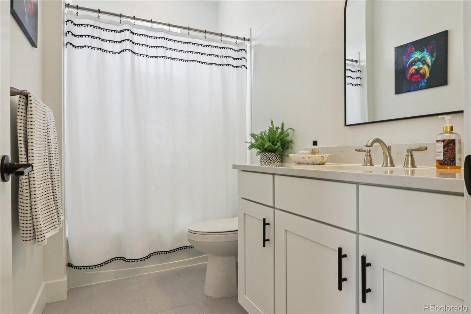 MLS Image #19 for 10534  oncilla lane,lone tree, Colorado
