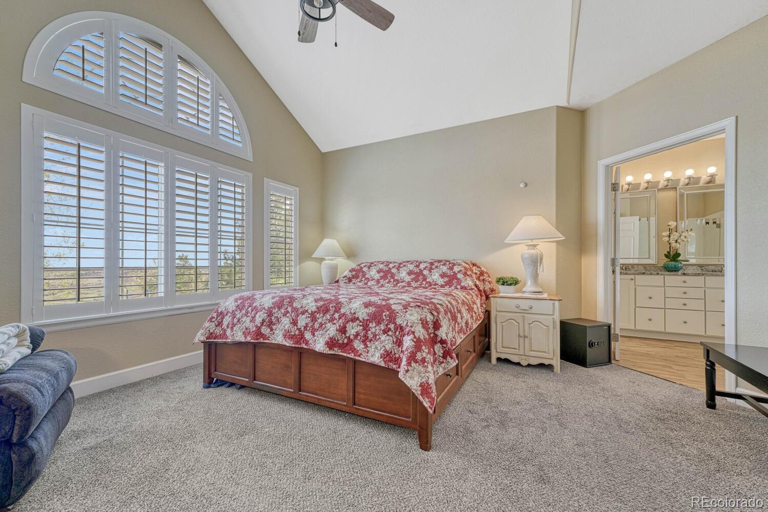 MLS Image #19 for 12344  turquoise terrace street,castle pines, Colorado