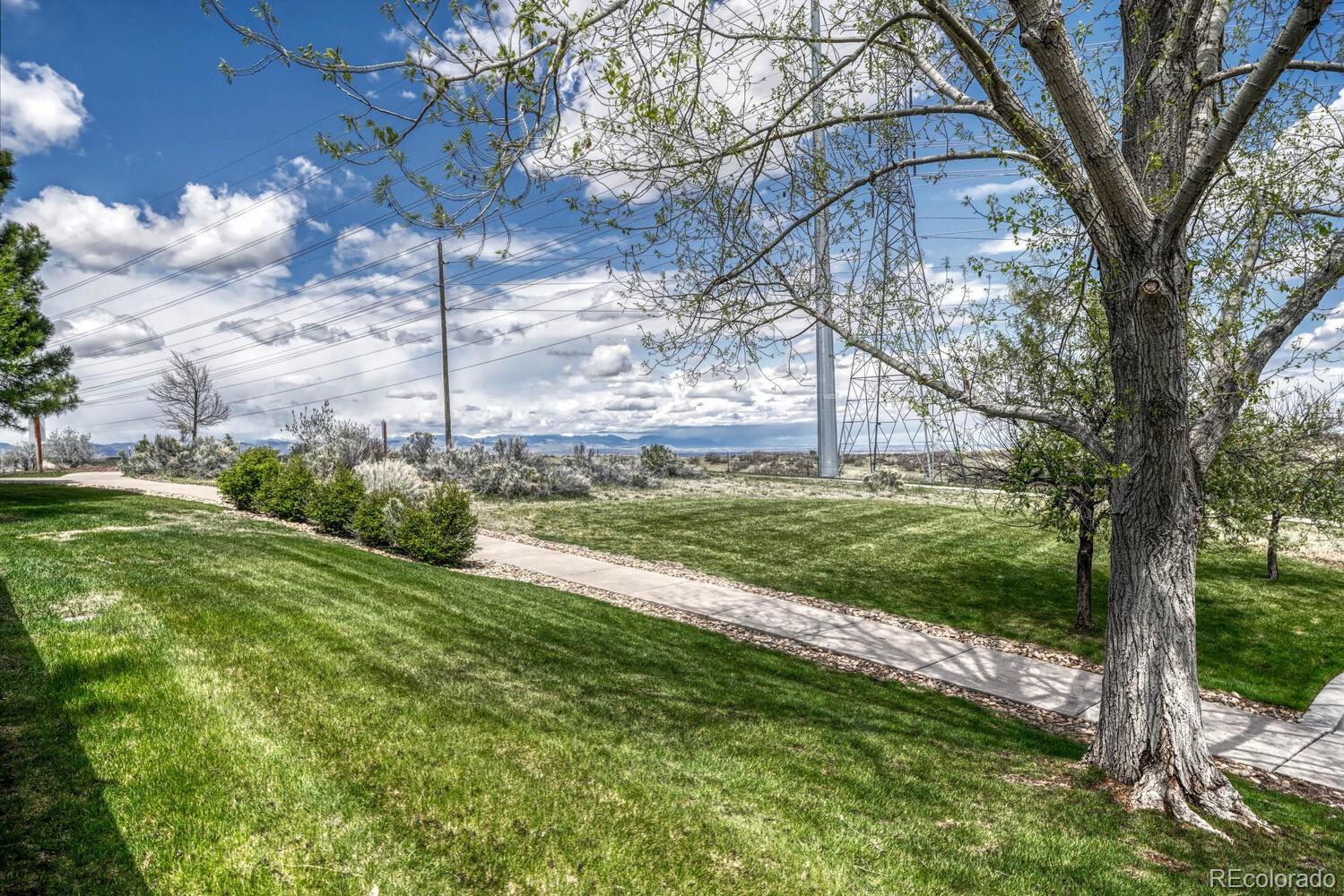 MLS Image #44 for 12344  turquoise terrace street,castle pines, Colorado