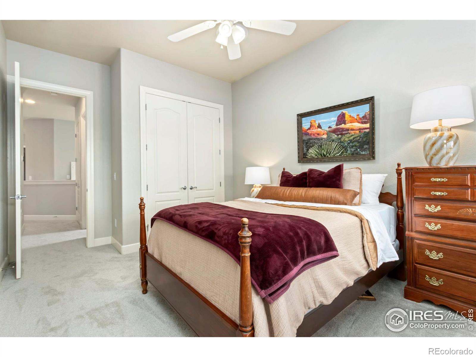 MLS Image #21 for 1992  vineyard drive,windsor, Colorado