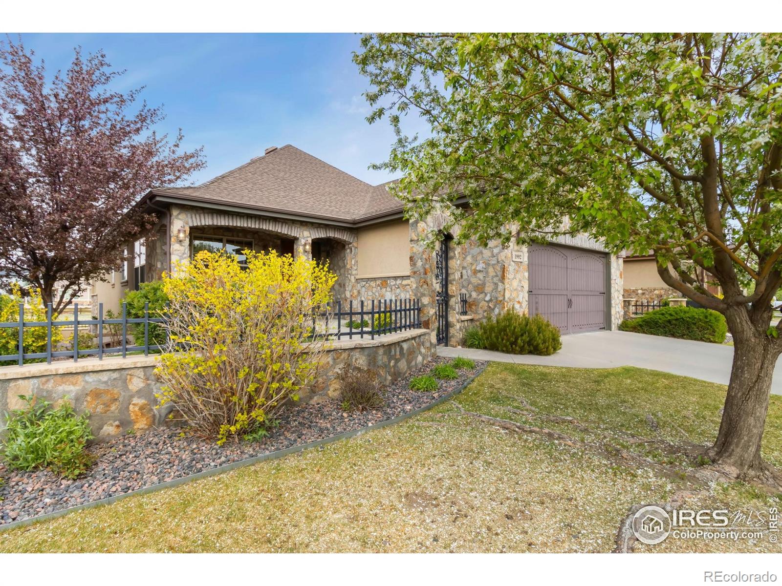 MLS Image #3 for 1992  vineyard drive,windsor, Colorado