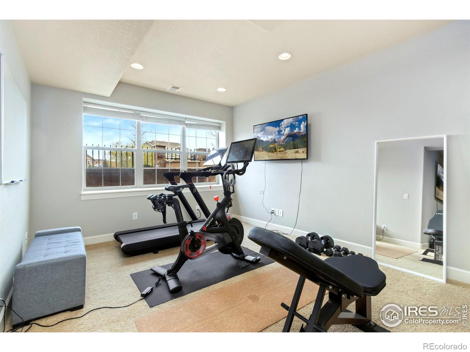 MLS Image #31 for 1992  vineyard drive,windsor, Colorado