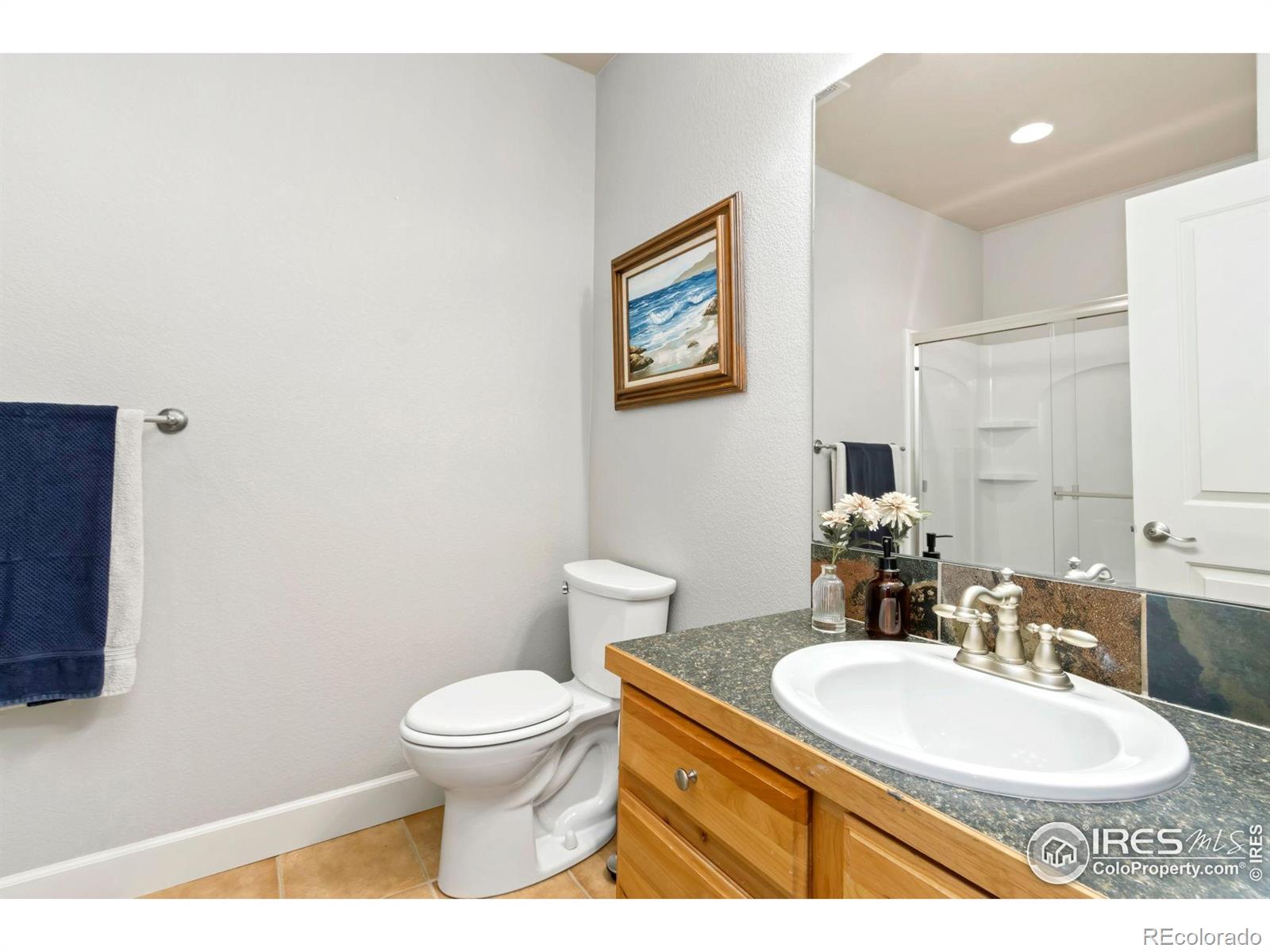 MLS Image #32 for 1992  vineyard drive,windsor, Colorado