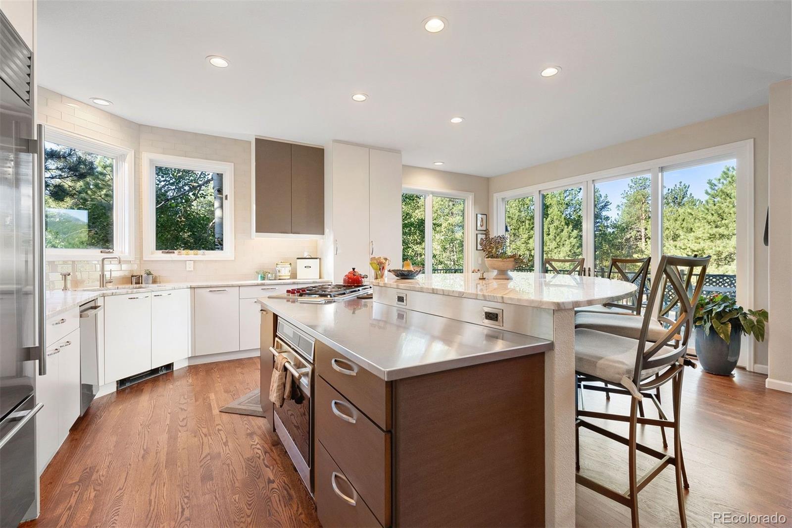 MLS Image #12 for 2873  cortina lane,evergreen, Colorado