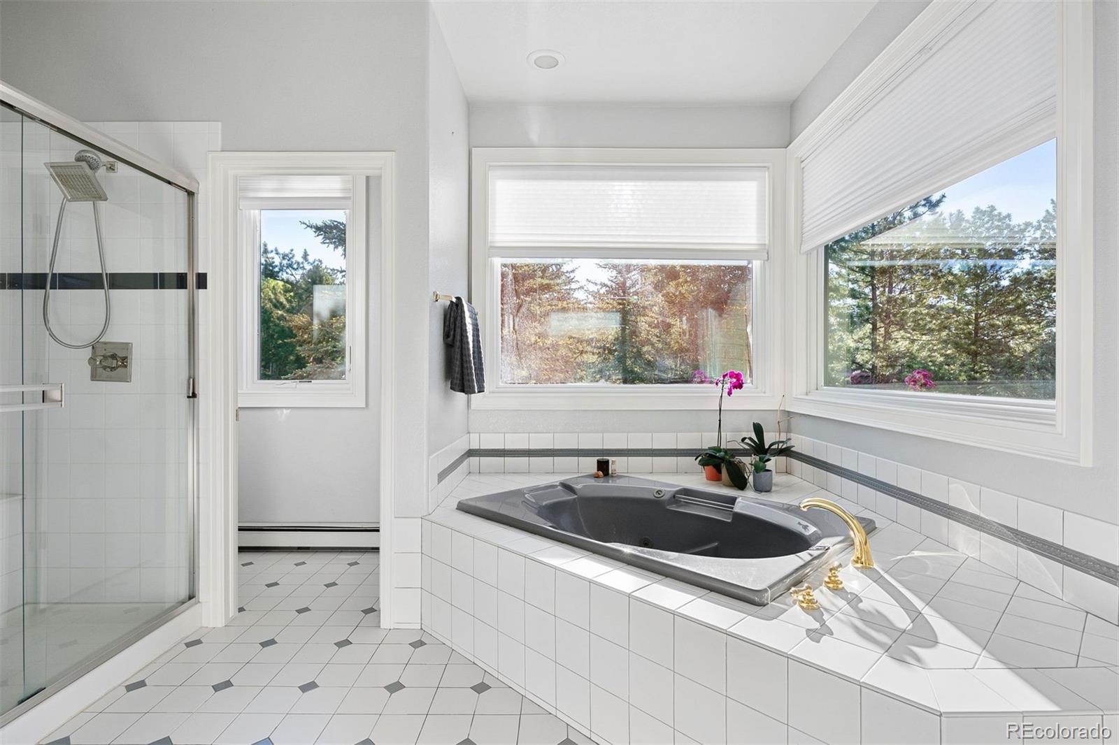 MLS Image #25 for 2873  cortina lane,evergreen, Colorado