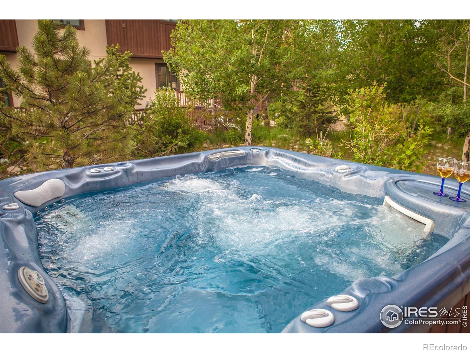 MLS Image #13 for 701  red quill way,winter park, Colorado