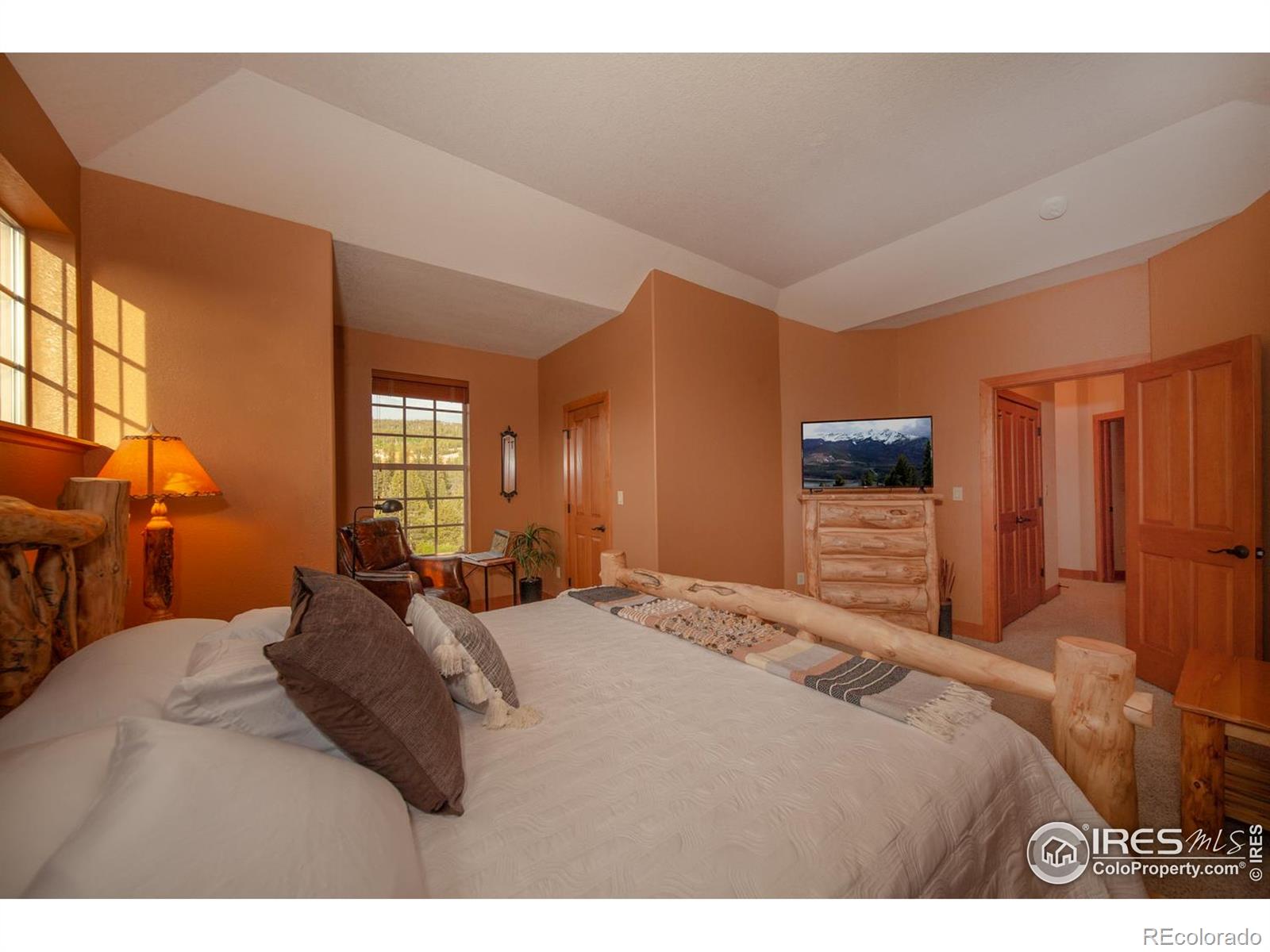 MLS Image #16 for 701  red quill way,winter park, Colorado