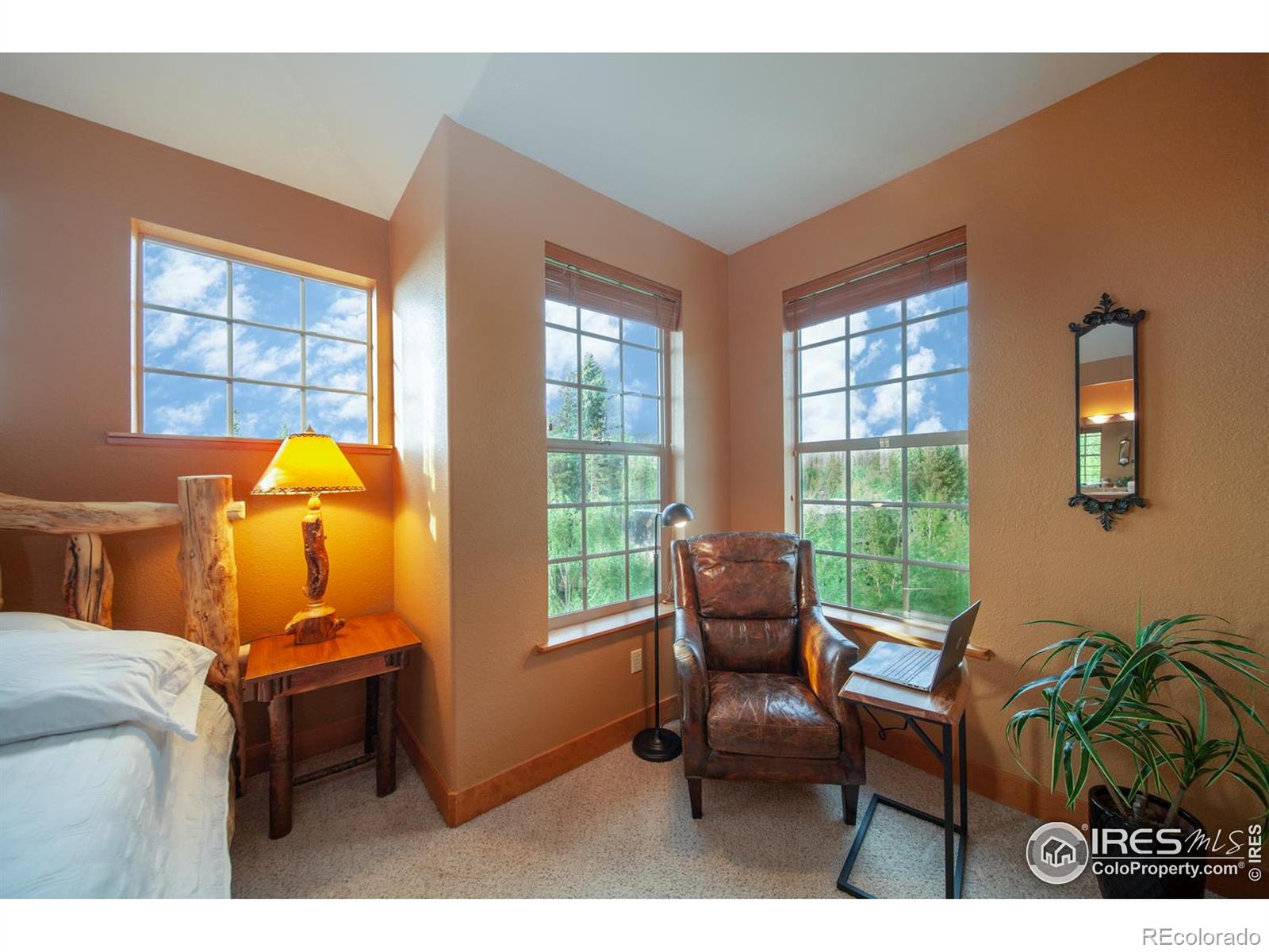 MLS Image #17 for 701  red quill way,winter park, Colorado
