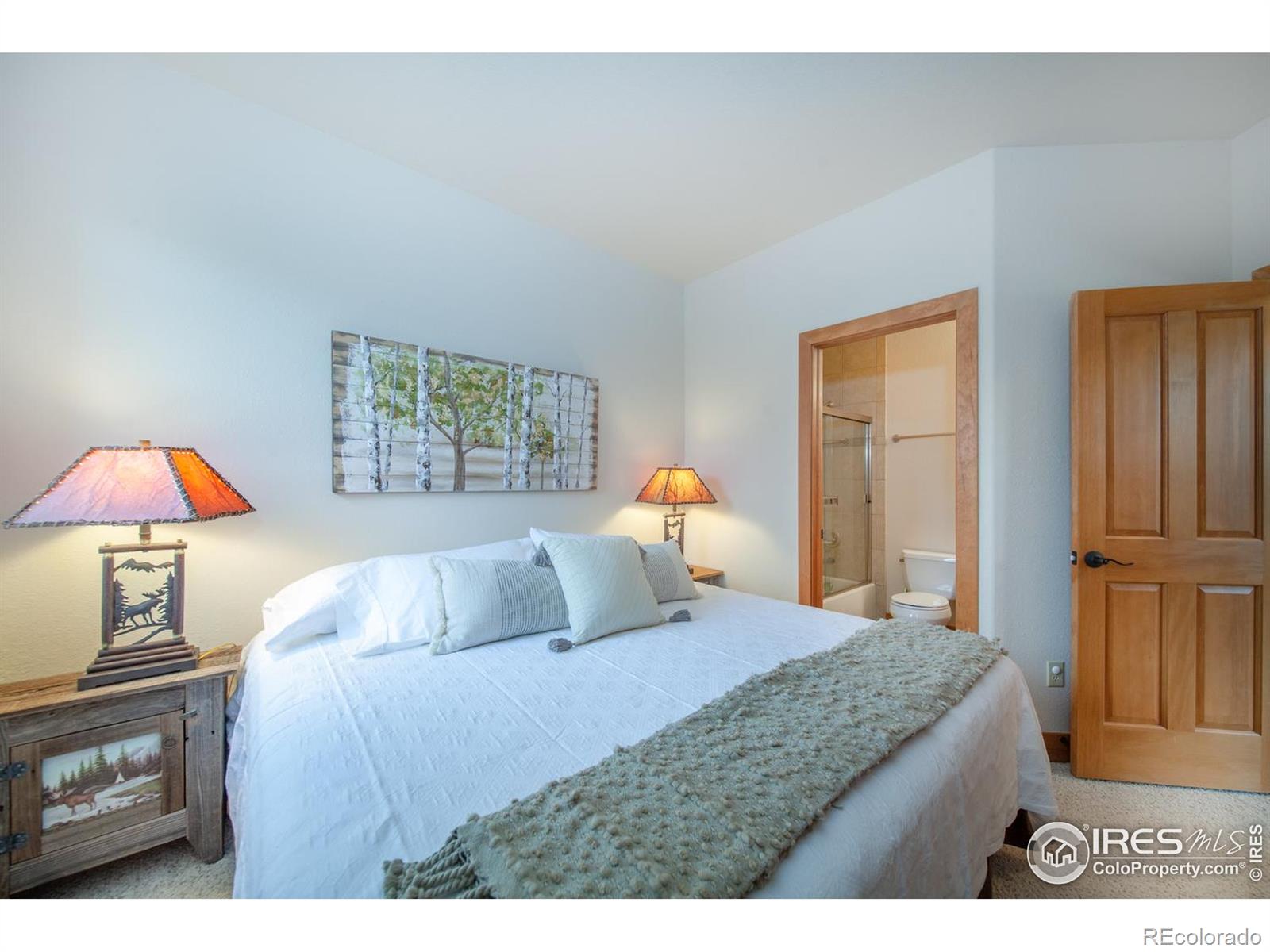 MLS Image #21 for 701  red quill way,winter park, Colorado